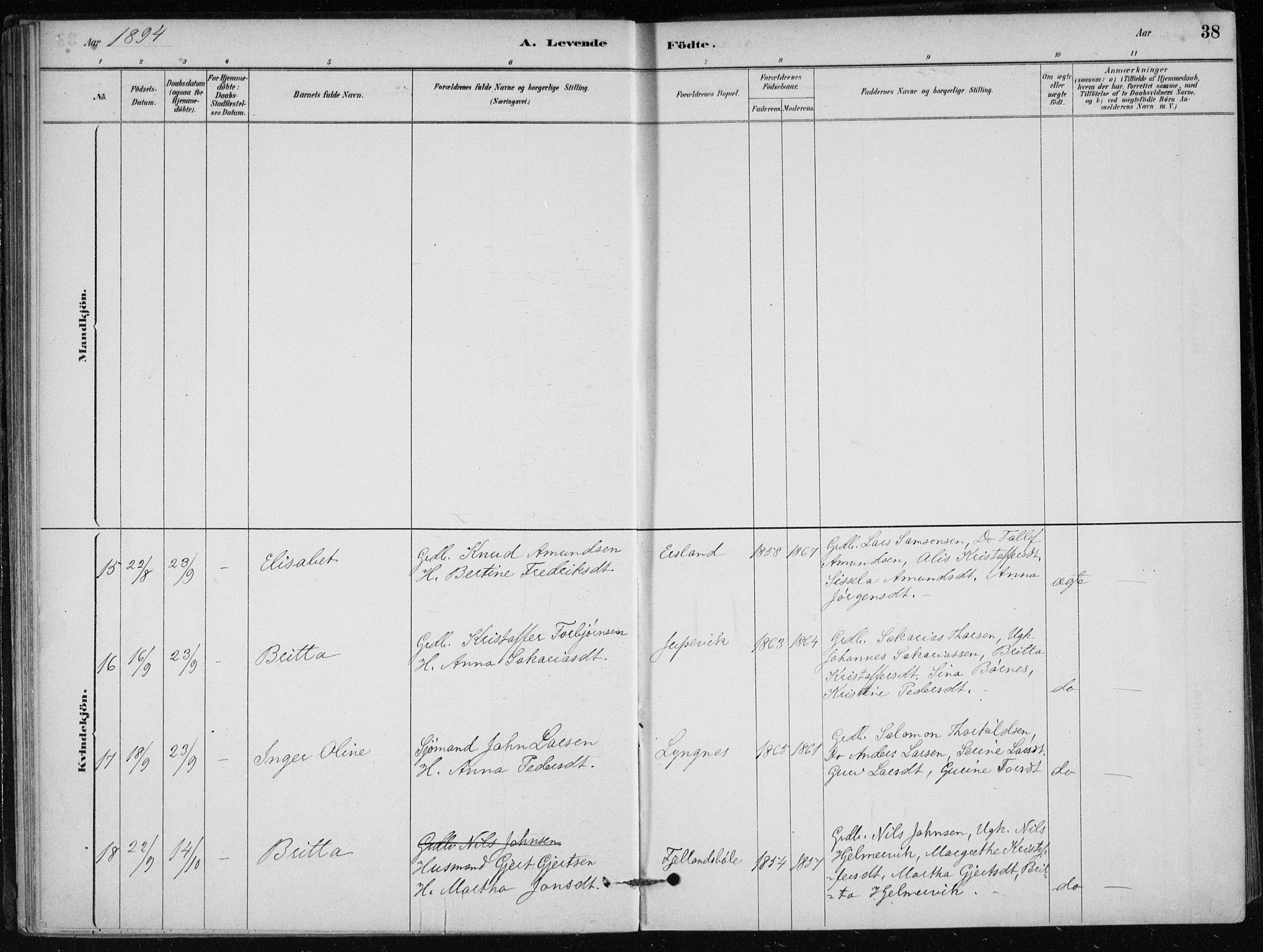 Skånevik sokneprestembete, AV/SAB-A-77801/H/Haa: Ministerialbok nr. C  1, 1879-1917, s. 38