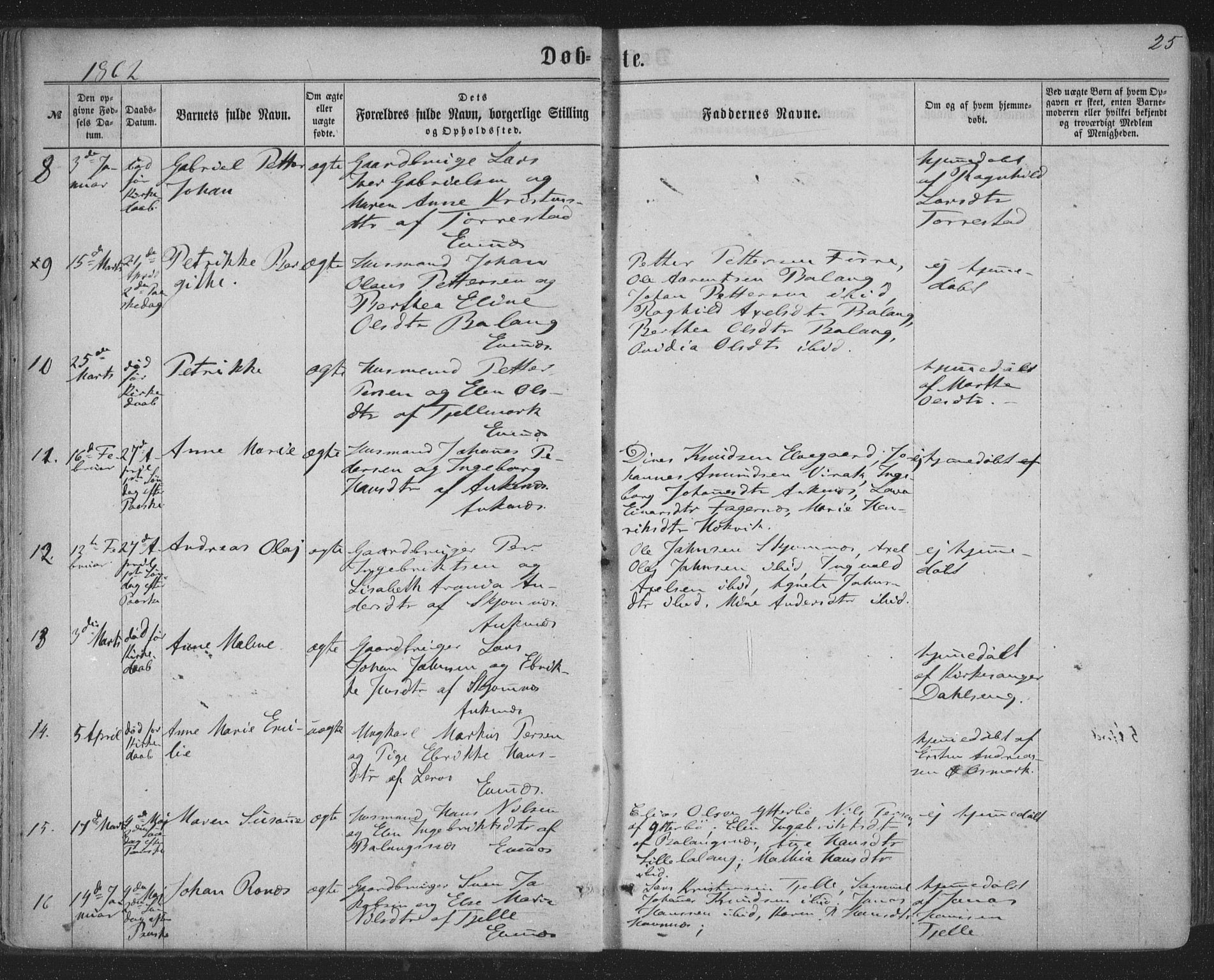 Ministerialprotokoller, klokkerbøker og fødselsregistre - Nordland, AV/SAT-A-1459/863/L0896: Ministerialbok nr. 863A08, 1861-1871, s. 25