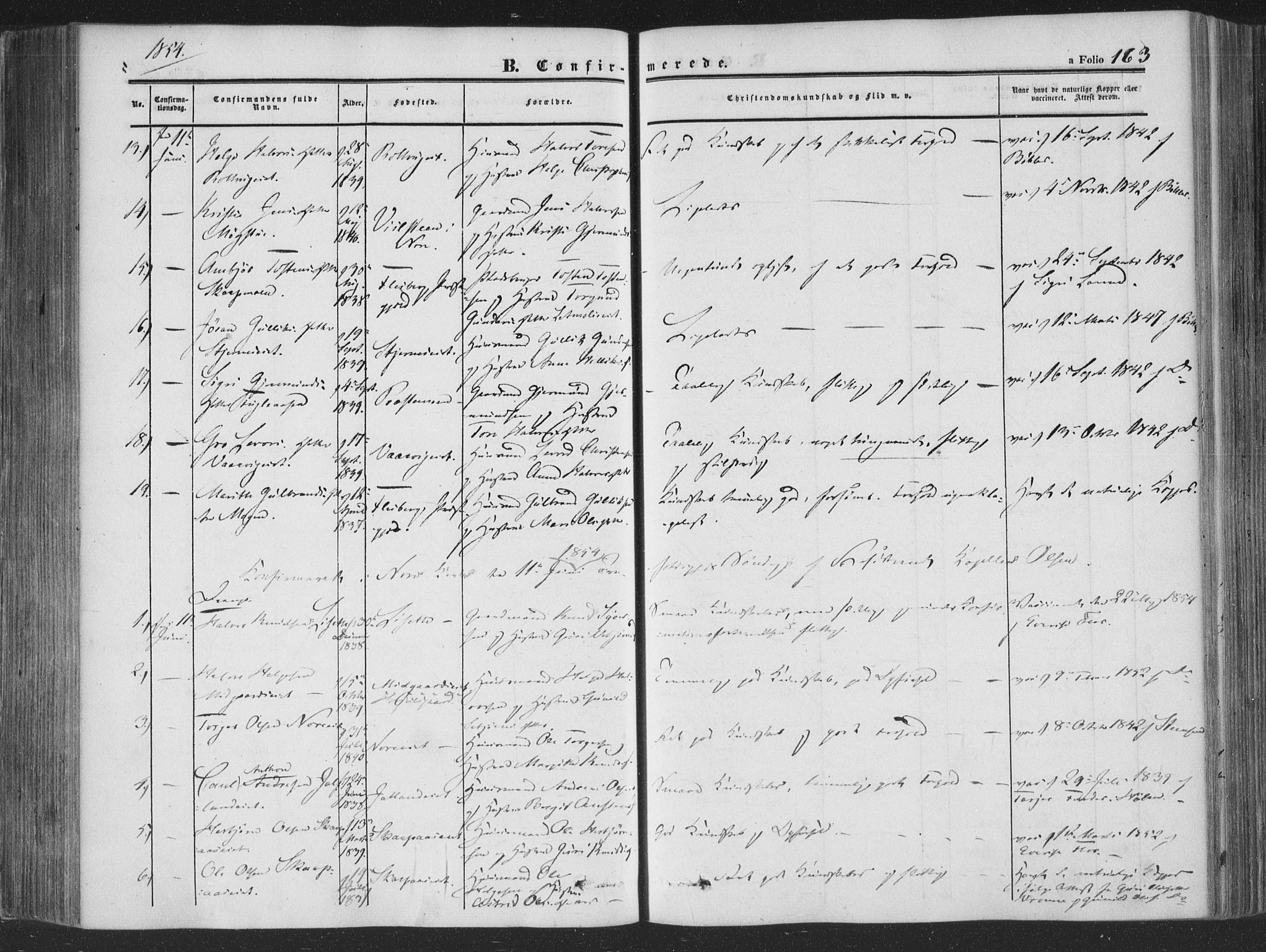 Rollag kirkebøker, AV/SAKO-A-240/F/Fa/L0008: Ministerialbok nr. I 8, 1847-1860, s. 163