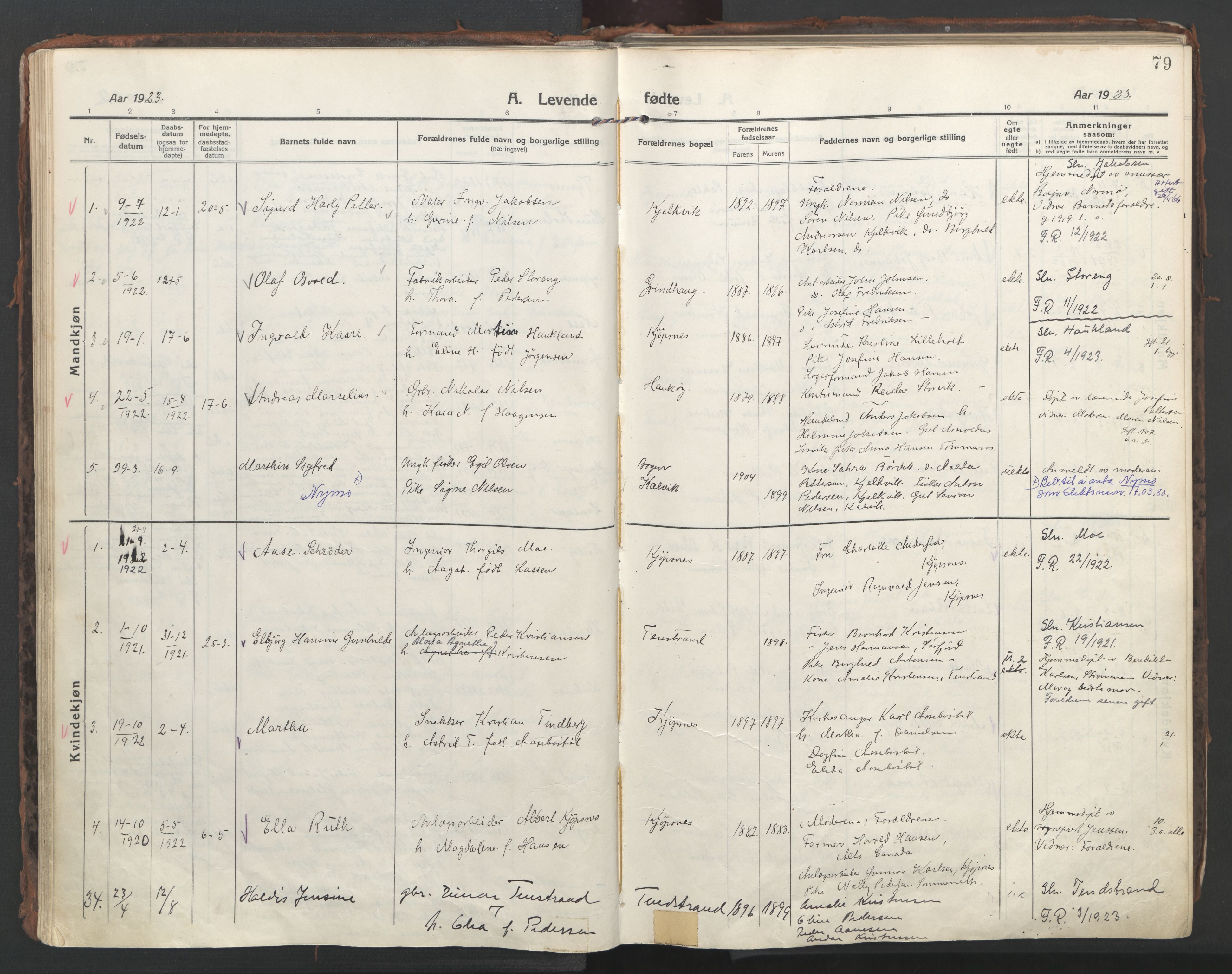 Ministerialprotokoller, klokkerbøker og fødselsregistre - Nordland, AV/SAT-A-1459/861/L0872: Ministerialbok nr. 861A07, 1915-1924, s. 79