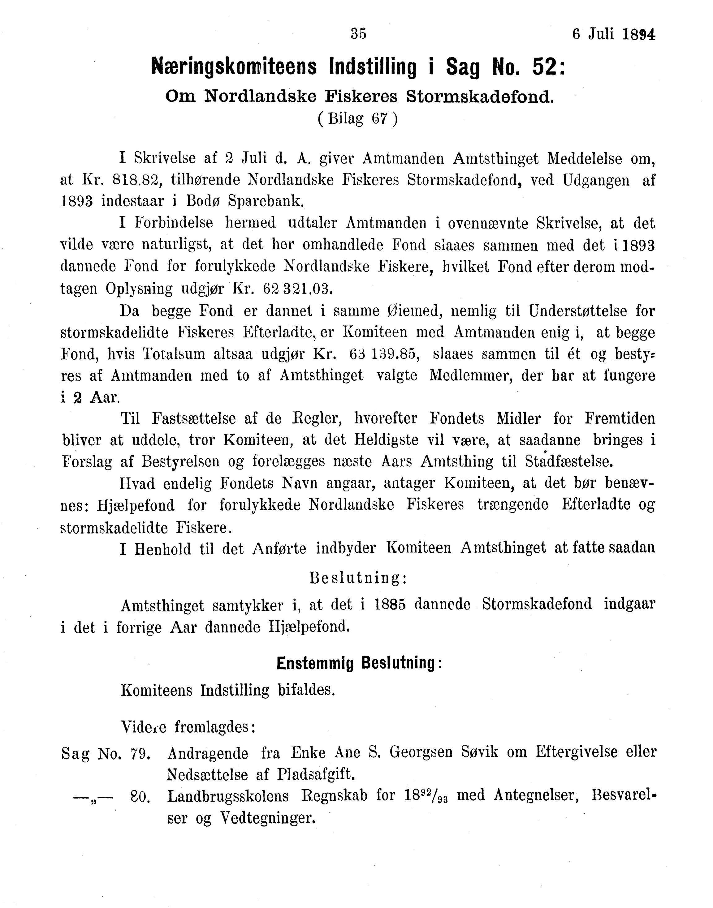 Nordland Fylkeskommune. Fylkestinget, AIN/NFK-17/176/A/Ac/L0017: Fylkestingsforhandlinger 1894, 1894