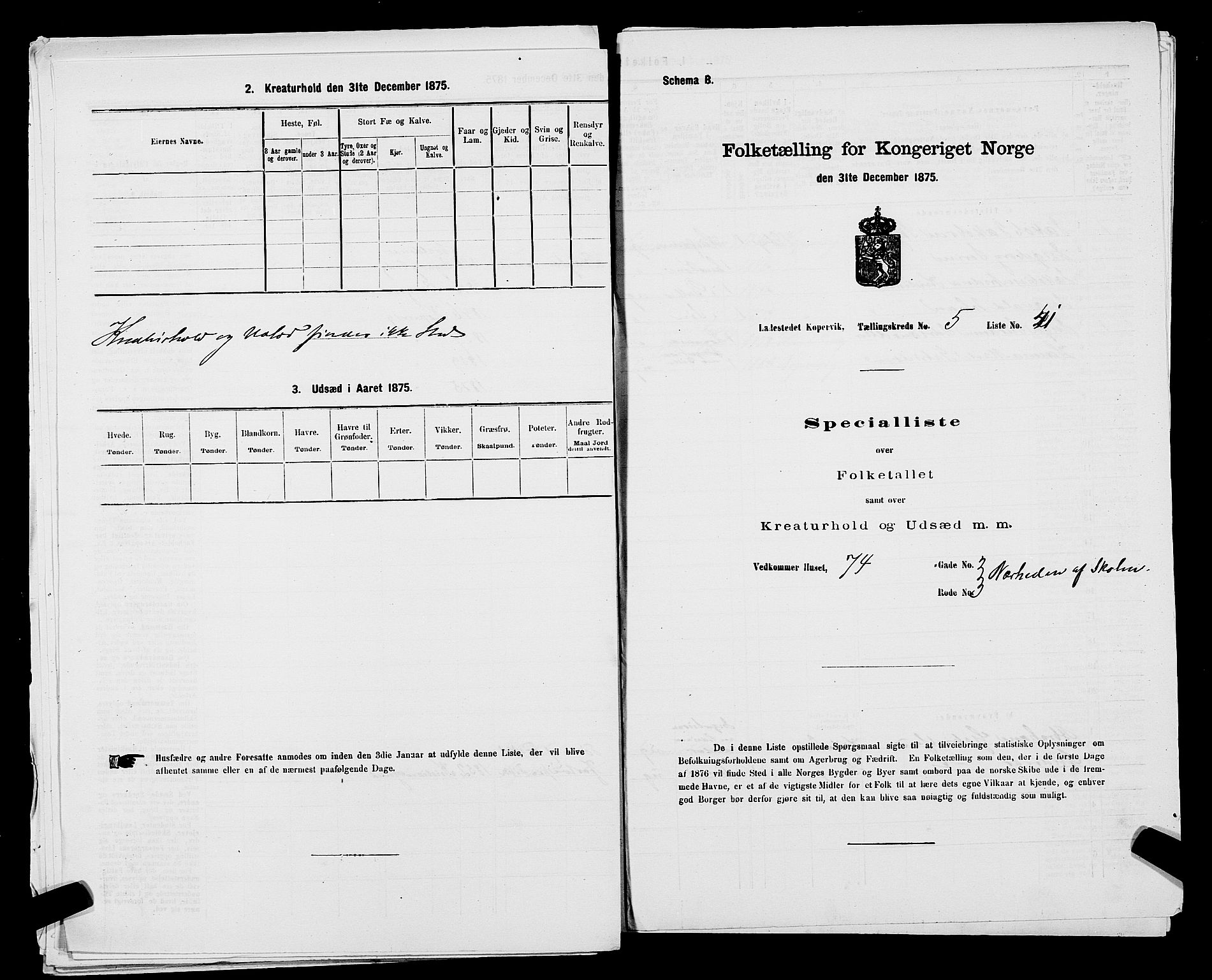 SAST, Folketelling 1875 for 1105B Avaldsnes prestegjeld, Kopervik ladested, 1875, s. 80