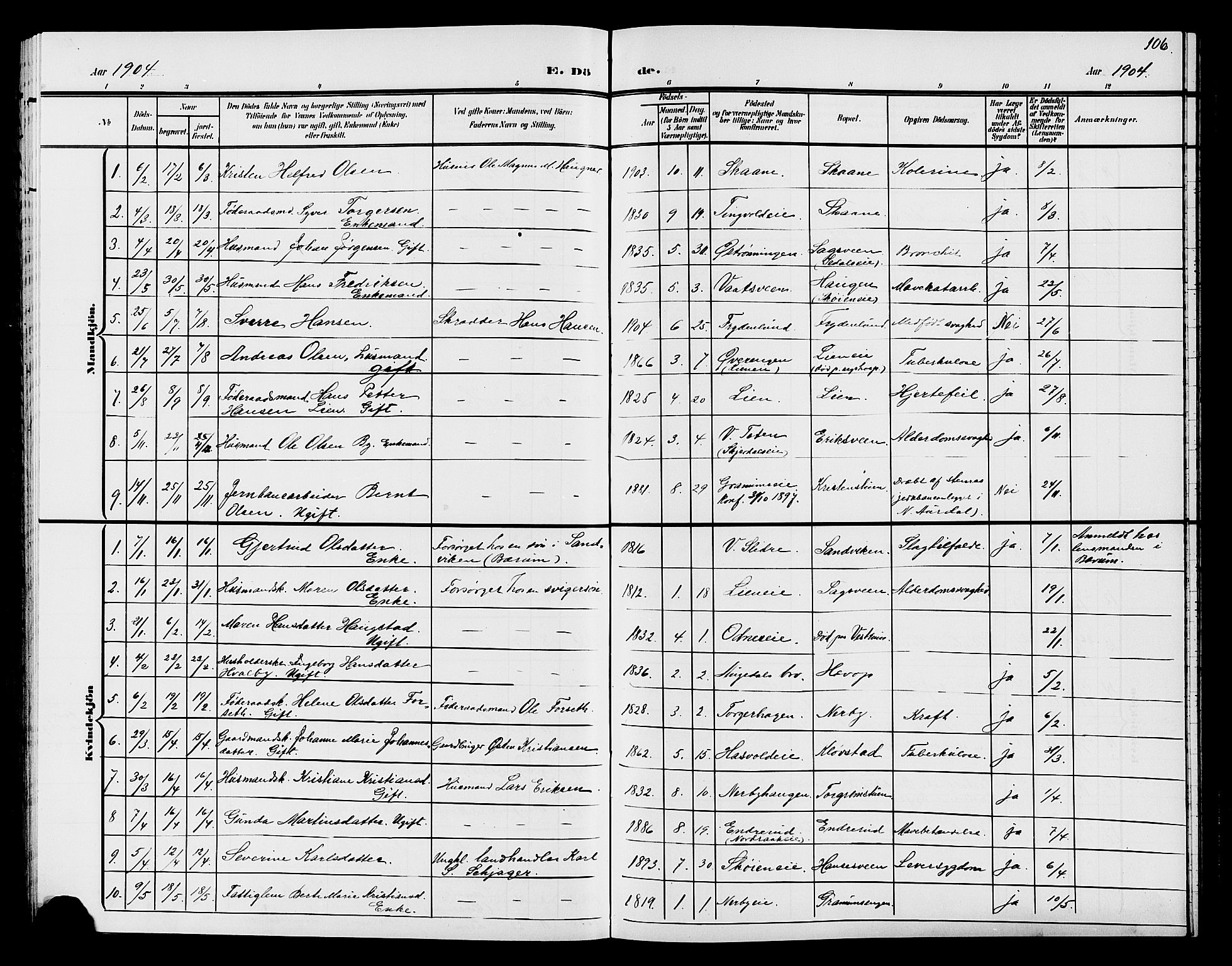 Søndre Land prestekontor, AV/SAH-PREST-122/L/L0005: Klokkerbok nr. 5, 1902-1911, s. 106