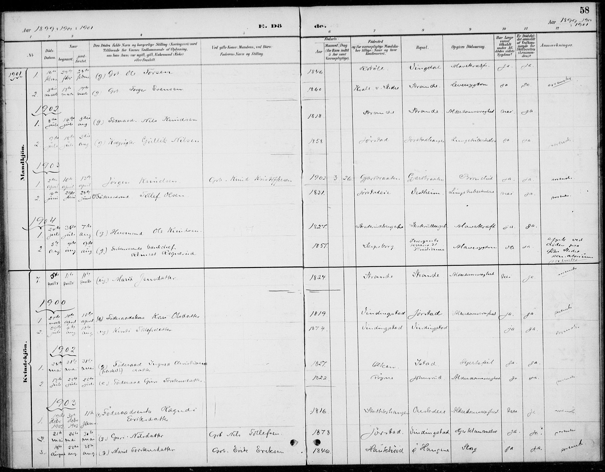 Øystre Slidre prestekontor, SAH/PREST-138/H/Ha/Haa/L0005: Ministerialbok nr. 5, 1887-1916, s. 58