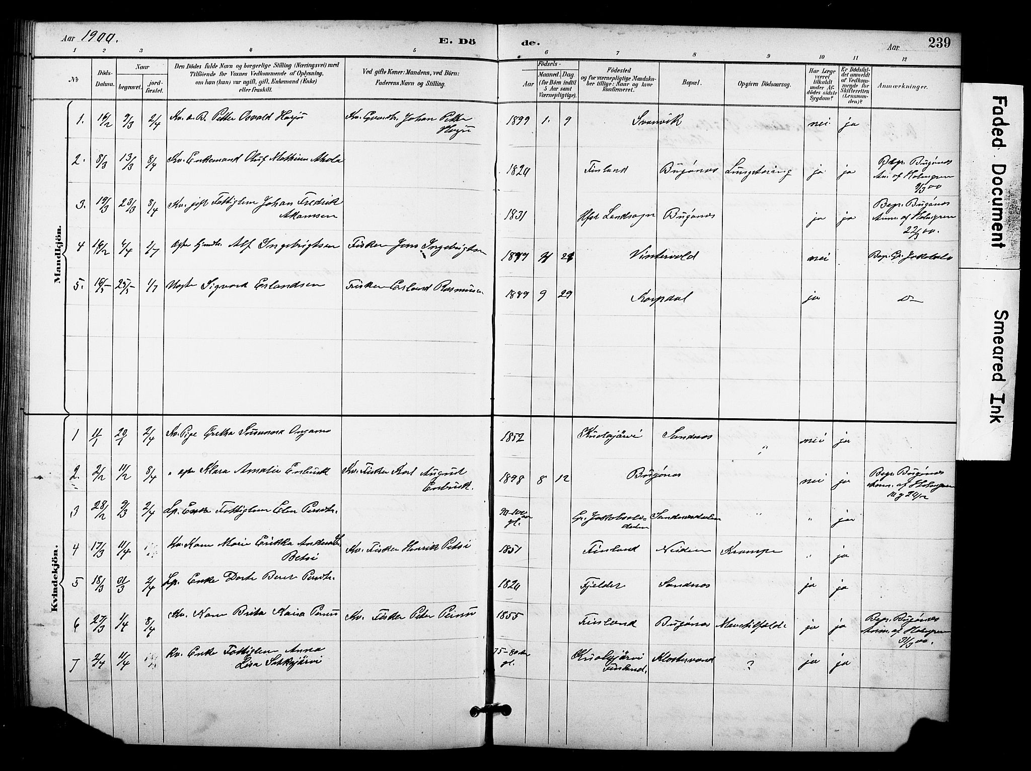 Sør-Varanger sokneprestkontor, AV/SATØ-S-1331/H/Hb/L0004klokker: Klokkerbok nr. 4, 1891-1912, s. 239