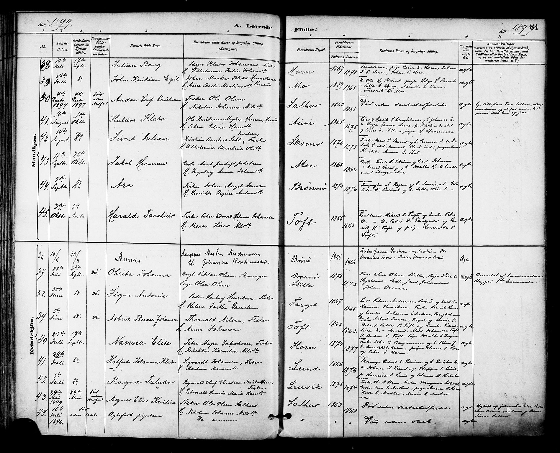 Ministerialprotokoller, klokkerbøker og fødselsregistre - Nordland, AV/SAT-A-1459/813/L0200: Ministerialbok nr. 813A10, 1886-1900, s. 84