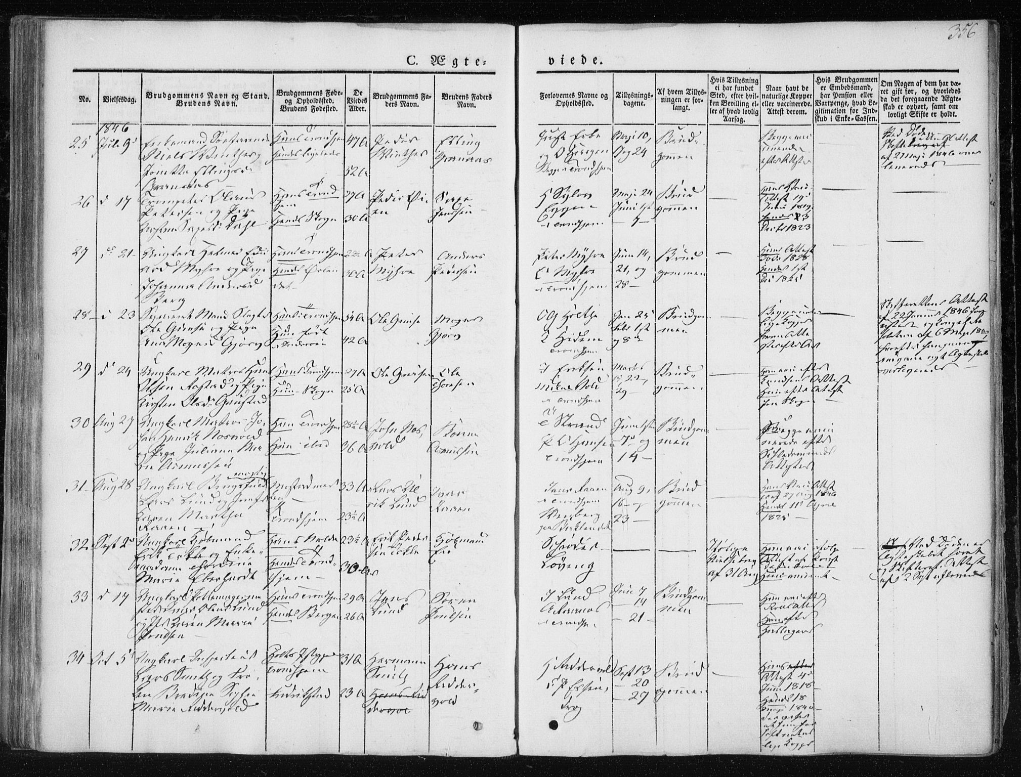 Ministerialprotokoller, klokkerbøker og fødselsregistre - Sør-Trøndelag, SAT/A-1456/601/L0049: Ministerialbok nr. 601A17, 1839-1847, s. 356