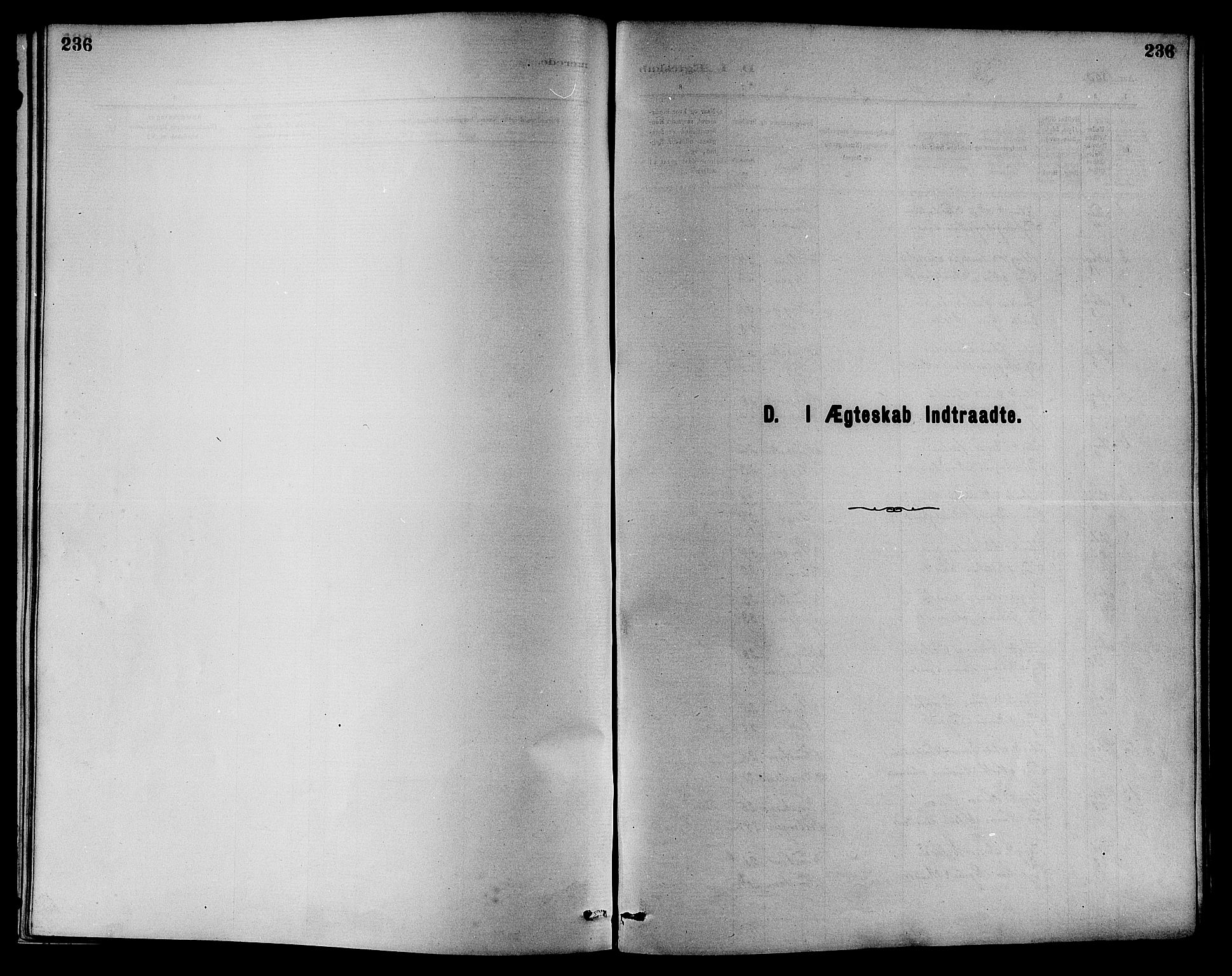 Nedre Eiker kirkebøker, SAKO/A-612/F/Fa/L0001: Ministerialbok nr. 1, 1853-1877, s. 236