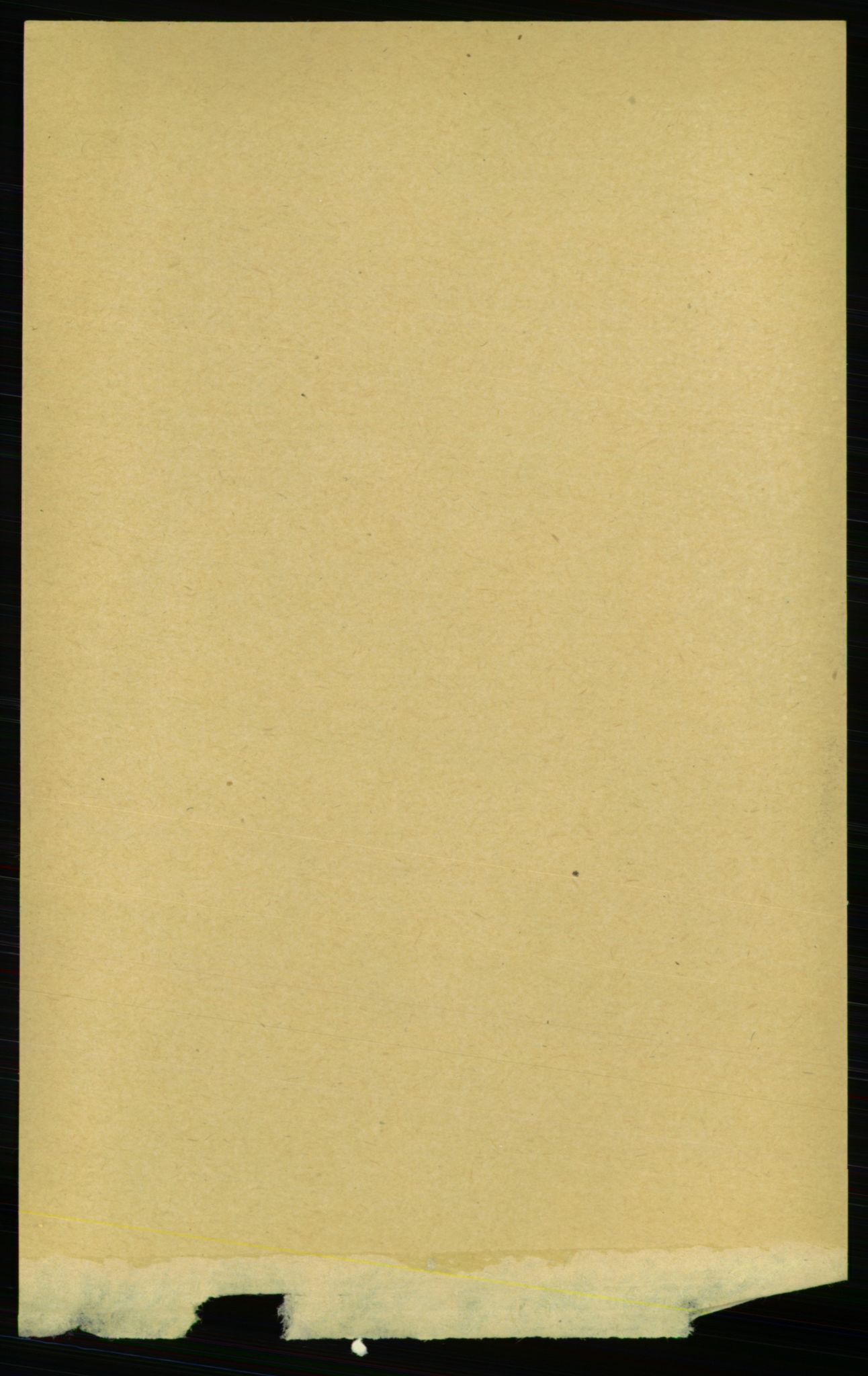 RA, Folketelling 1891 for 1640 Røros herred, 1891, s. 4851