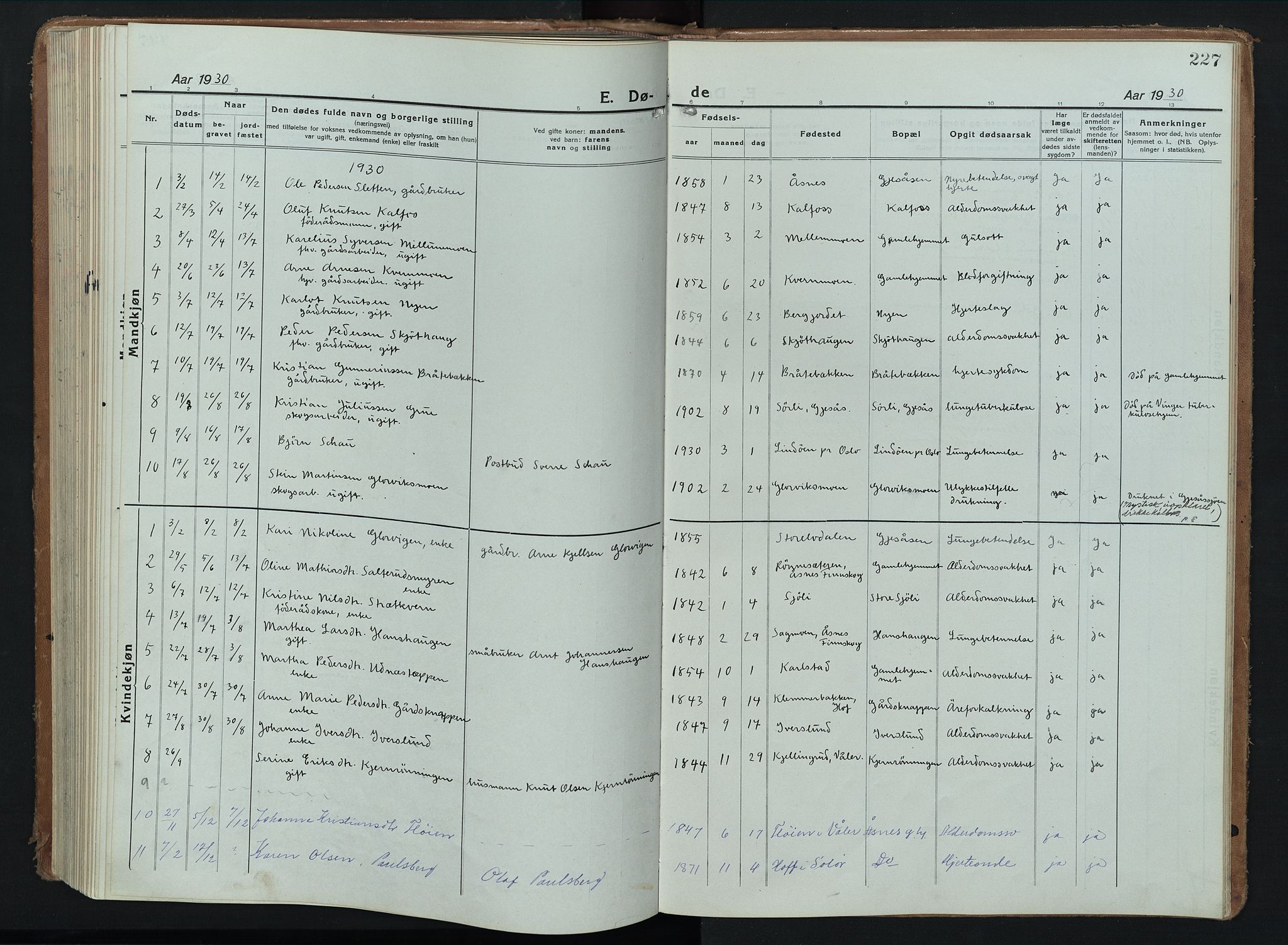 Åsnes prestekontor, SAH/PREST-042/H/Ha/Hab/L0012: Klokkerbok nr. 12, 1921-1942, s. 227