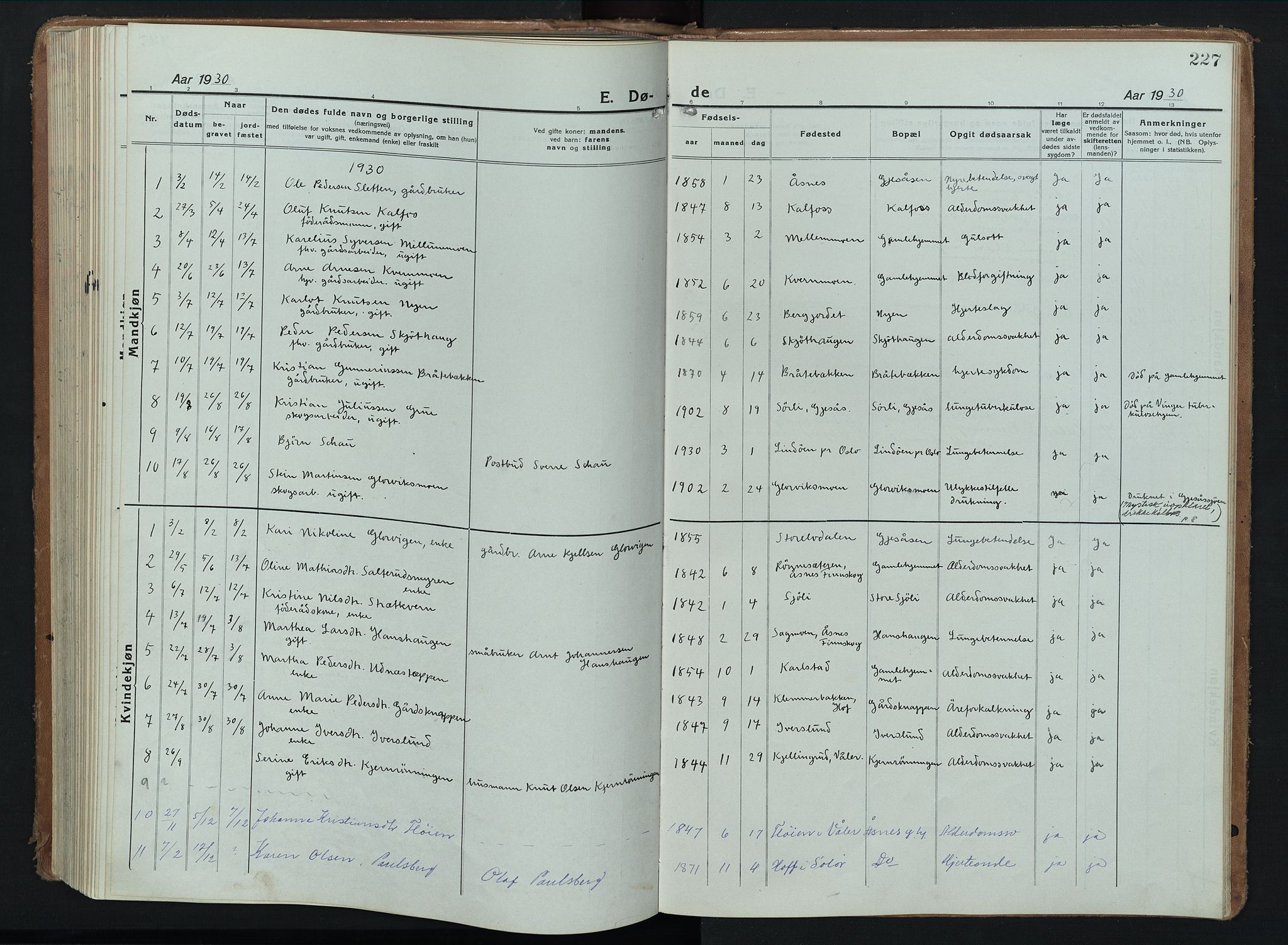 Åsnes prestekontor, AV/SAH-PREST-042/H/Ha/Hab/L0012: Klokkerbok nr. 12, 1921-1942, s. 227
