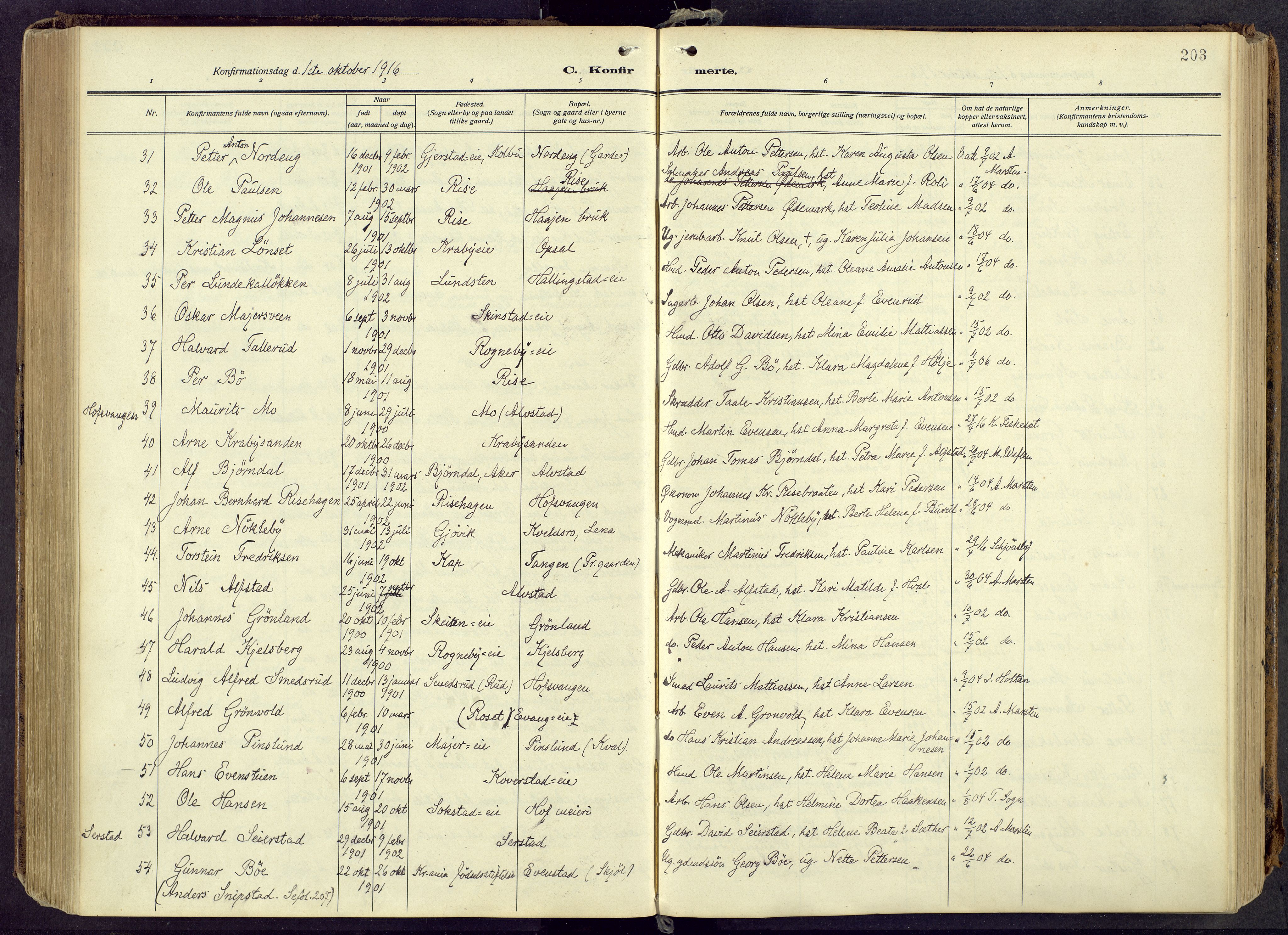Østre Toten prestekontor, AV/SAH-PREST-104/H/Ha/Haa/L0010: Ministerialbok nr. 10, 1910-1920, s. 203