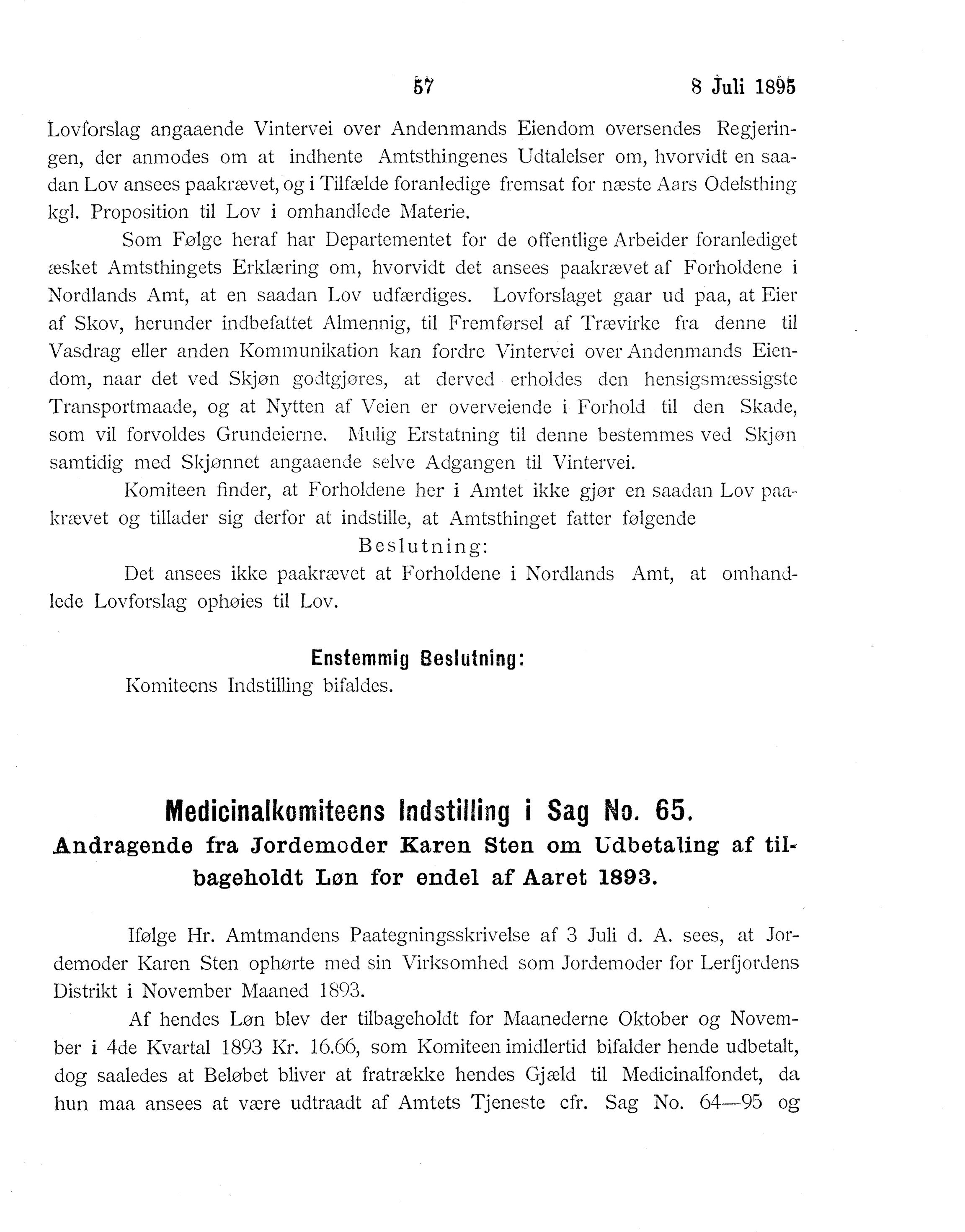 Nordland Fylkeskommune. Fylkestinget, AIN/NFK-17/176/A/Ac/L0018: Fylkestingsforhandlinger 1895, 1895