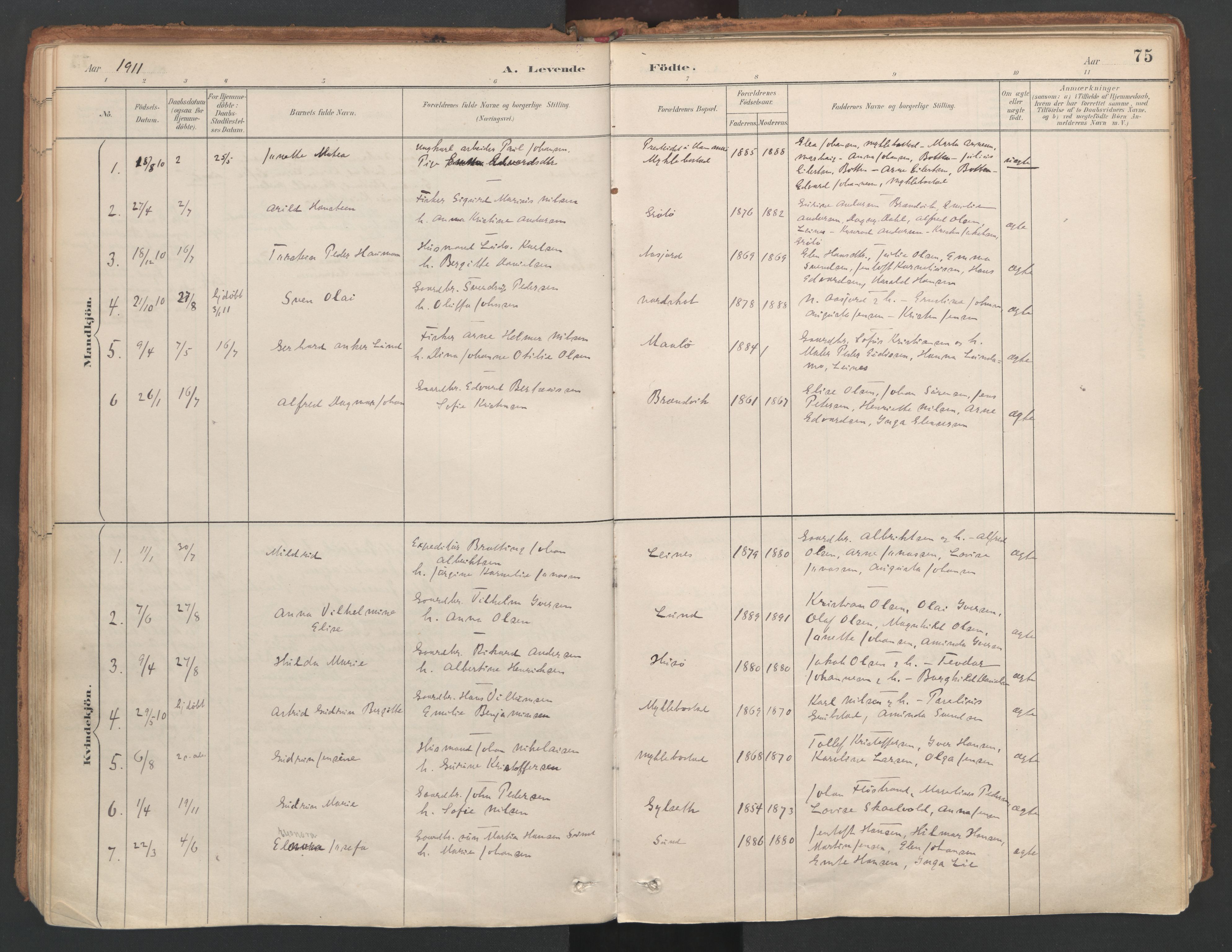 Ministerialprotokoller, klokkerbøker og fødselsregistre - Nordland, SAT/A-1459/857/L0822: Ministerialbok nr. 857A02, 1890-1917, s. 75