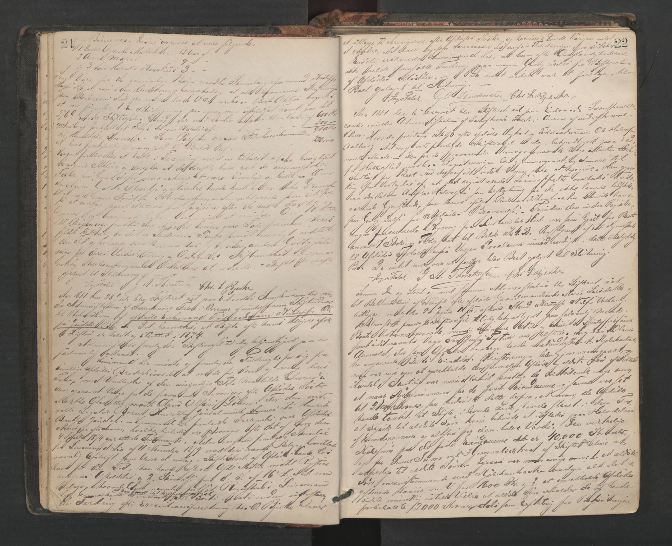 Eidsvoll tingrett, AV/SAO-A-10371/H/Hb/L0005: Skifteprotokoll, 1880-1903, s. 21-22