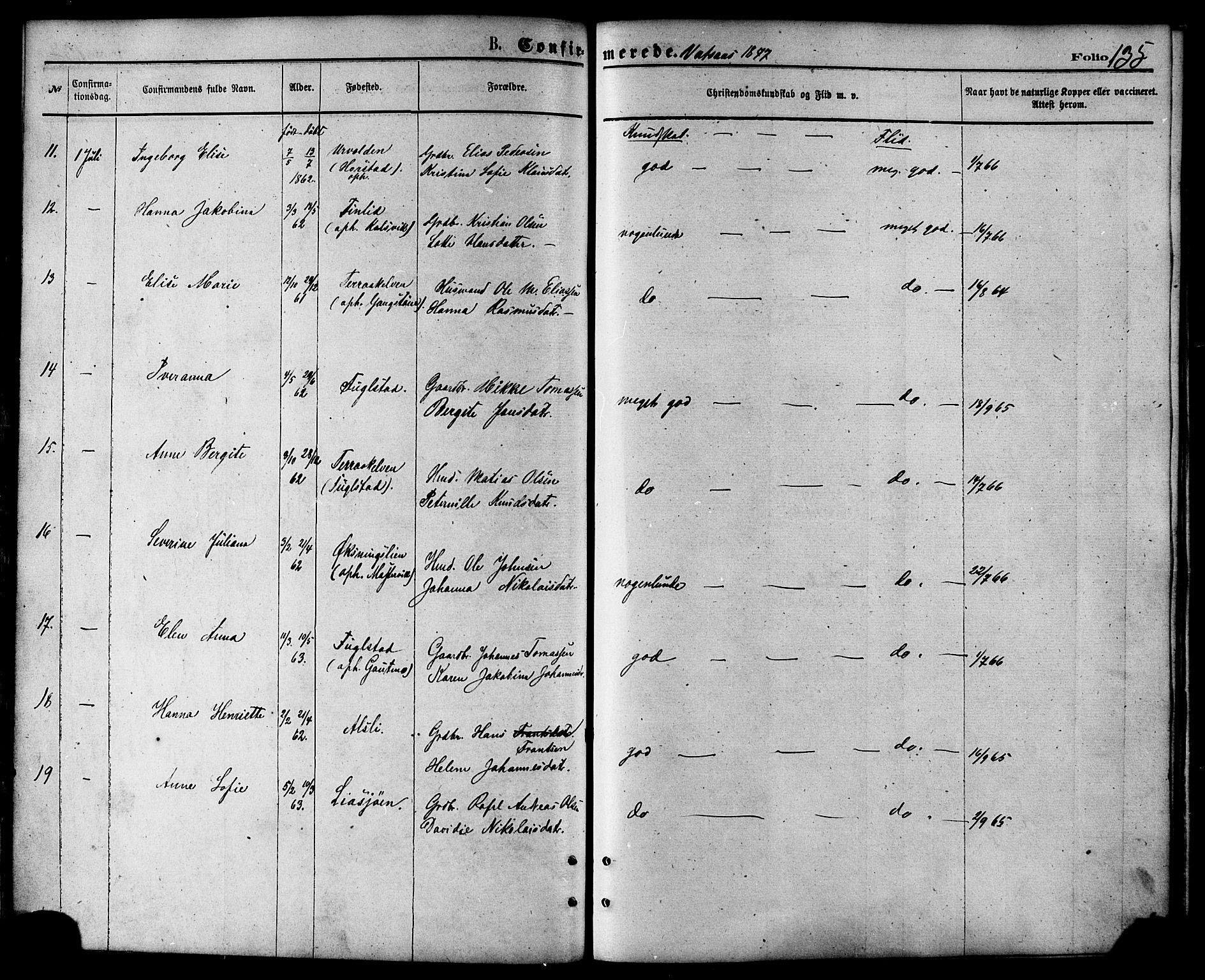 Ministerialprotokoller, klokkerbøker og fødselsregistre - Nordland, AV/SAT-A-1459/810/L0148: Ministerialbok nr. 810A09 /1, 1874-1884, s. 135