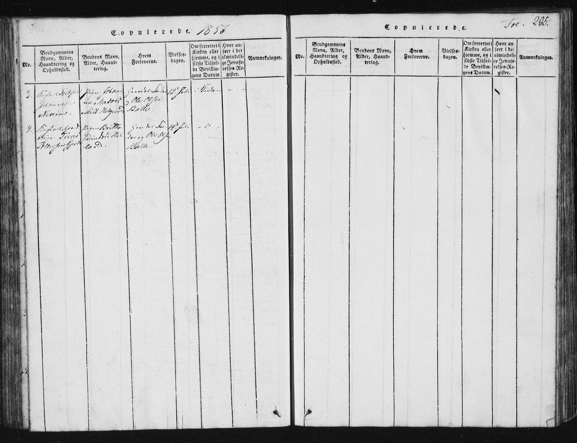 Vikedal sokneprestkontor, AV/SAST-A-101840/01/V: Klokkerbok nr. B 2, 1816-1863, s. 205