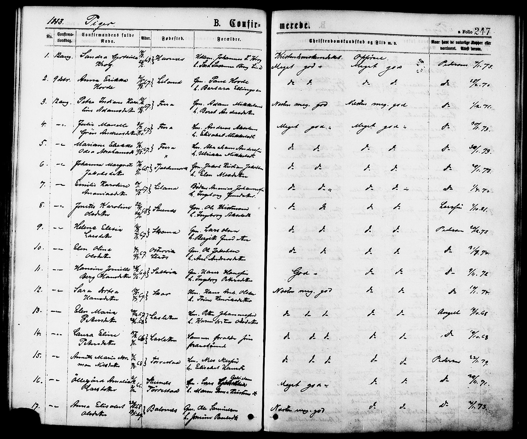 Ministerialprotokoller, klokkerbøker og fødselsregistre - Nordland, AV/SAT-A-1459/863/L0897: Ministerialbok nr. 863A09, 1872-1886, s. 247