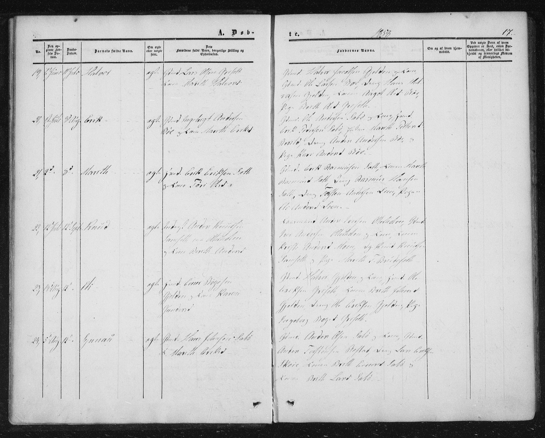 Ministerialprotokoller, klokkerbøker og fødselsregistre - Møre og Romsdal, AV/SAT-A-1454/543/L0562: Ministerialbok nr. 543A02, 1854-1884, s. 17