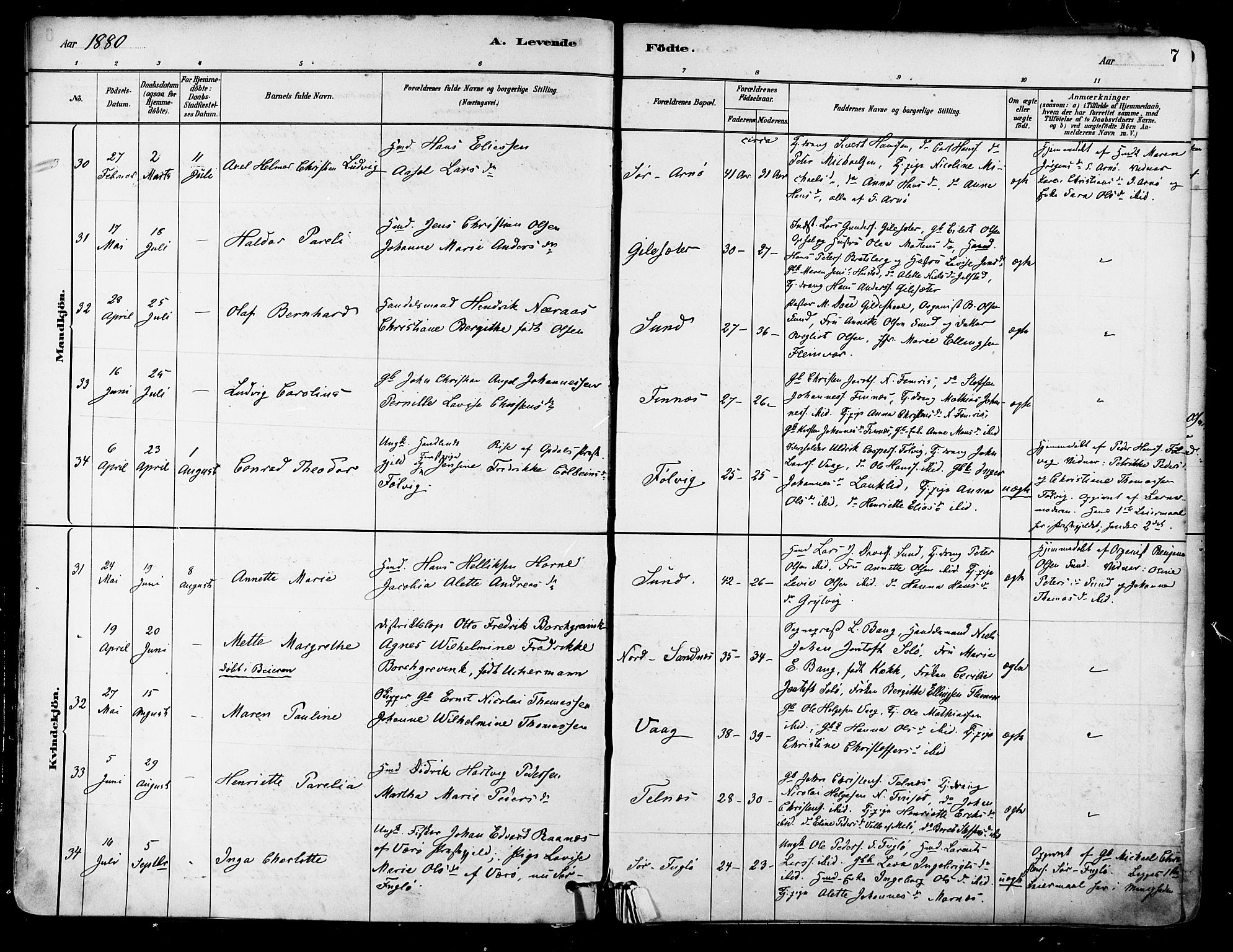 Ministerialprotokoller, klokkerbøker og fødselsregistre - Nordland, AV/SAT-A-1459/805/L0099: Ministerialbok nr. 805A06, 1880-1891, s. 7