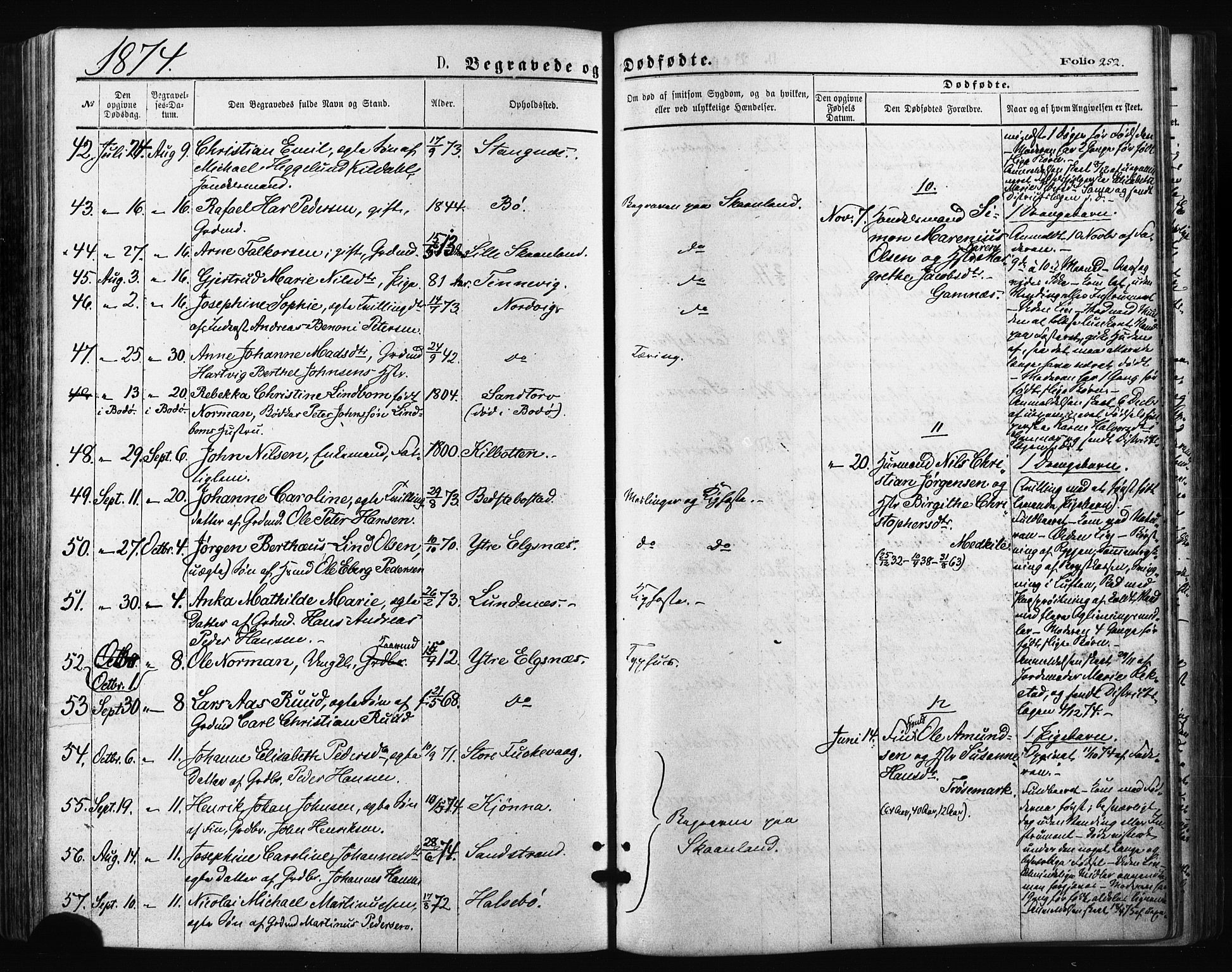 Trondenes sokneprestkontor, AV/SATØ-S-1319/H/Ha/L0013kirke: Ministerialbok nr. 13, 1870-1878, s. 252