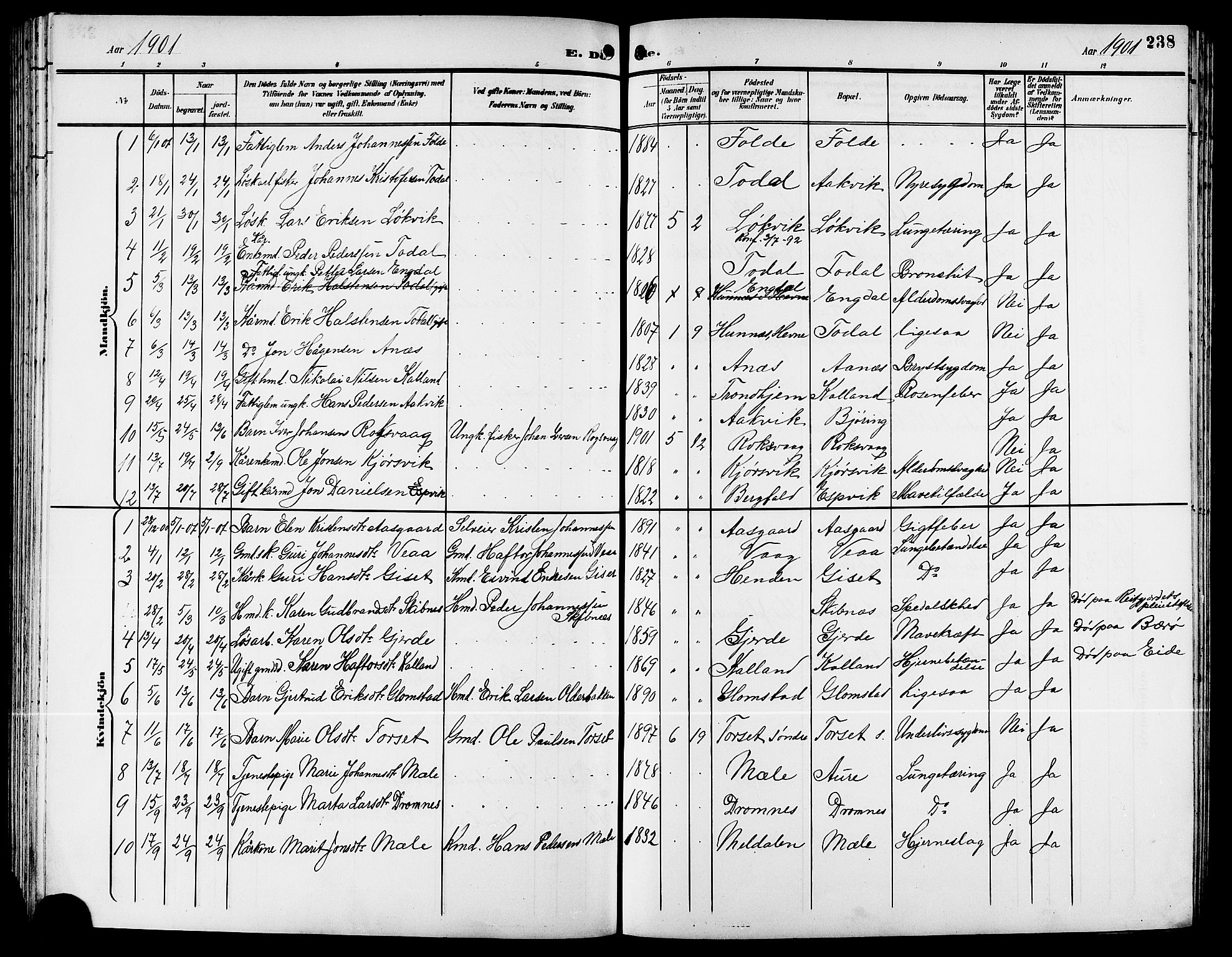 Ministerialprotokoller, klokkerbøker og fødselsregistre - Møre og Romsdal, AV/SAT-A-1454/578/L0910: Klokkerbok nr. 578C03, 1900-1921, s. 238