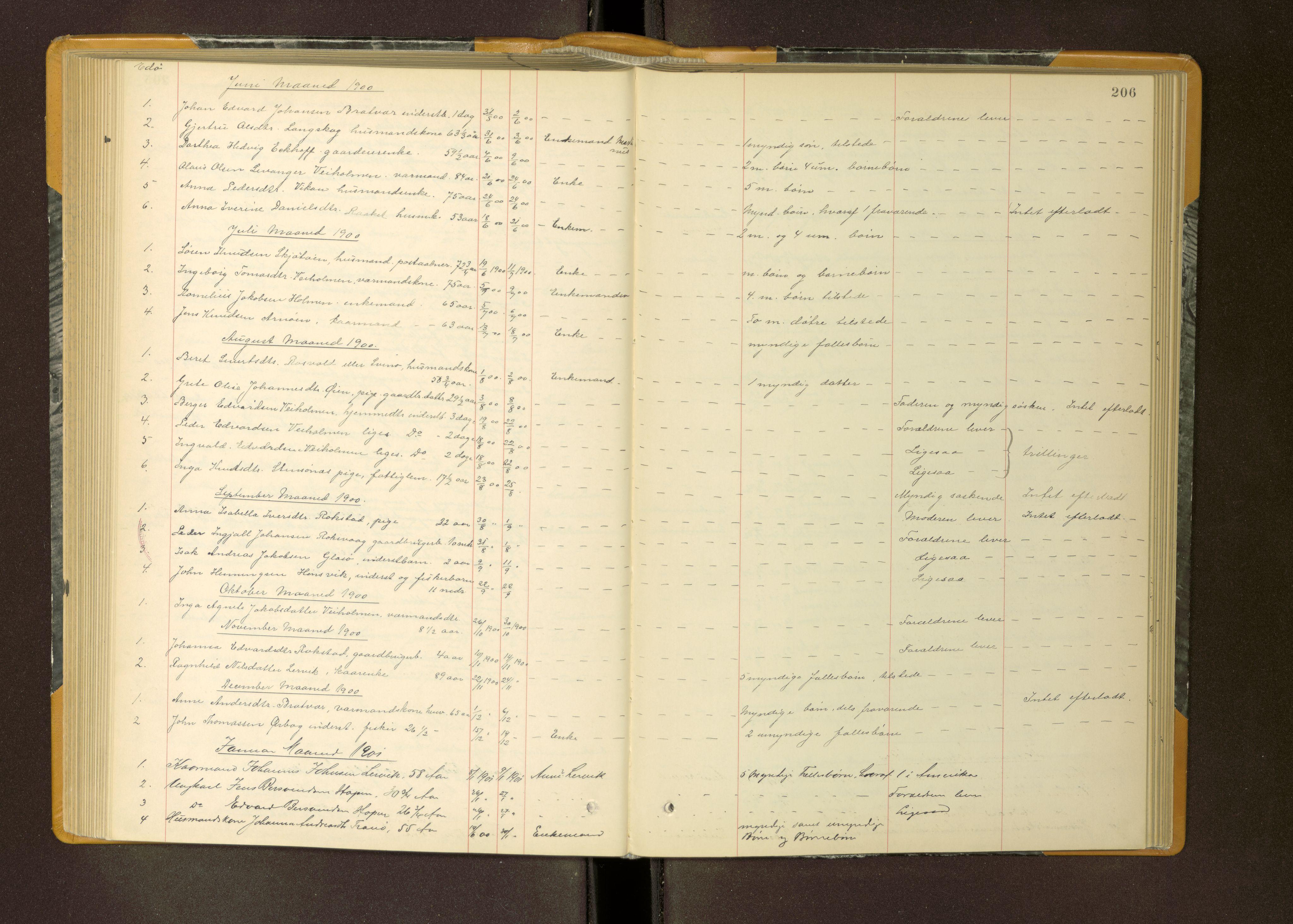 Nordmøre sorenskriveri, AV/SAT-A-4132/1/3/3L/L0004: Dødsfallsprotokoll, 1898-1908, s. 206