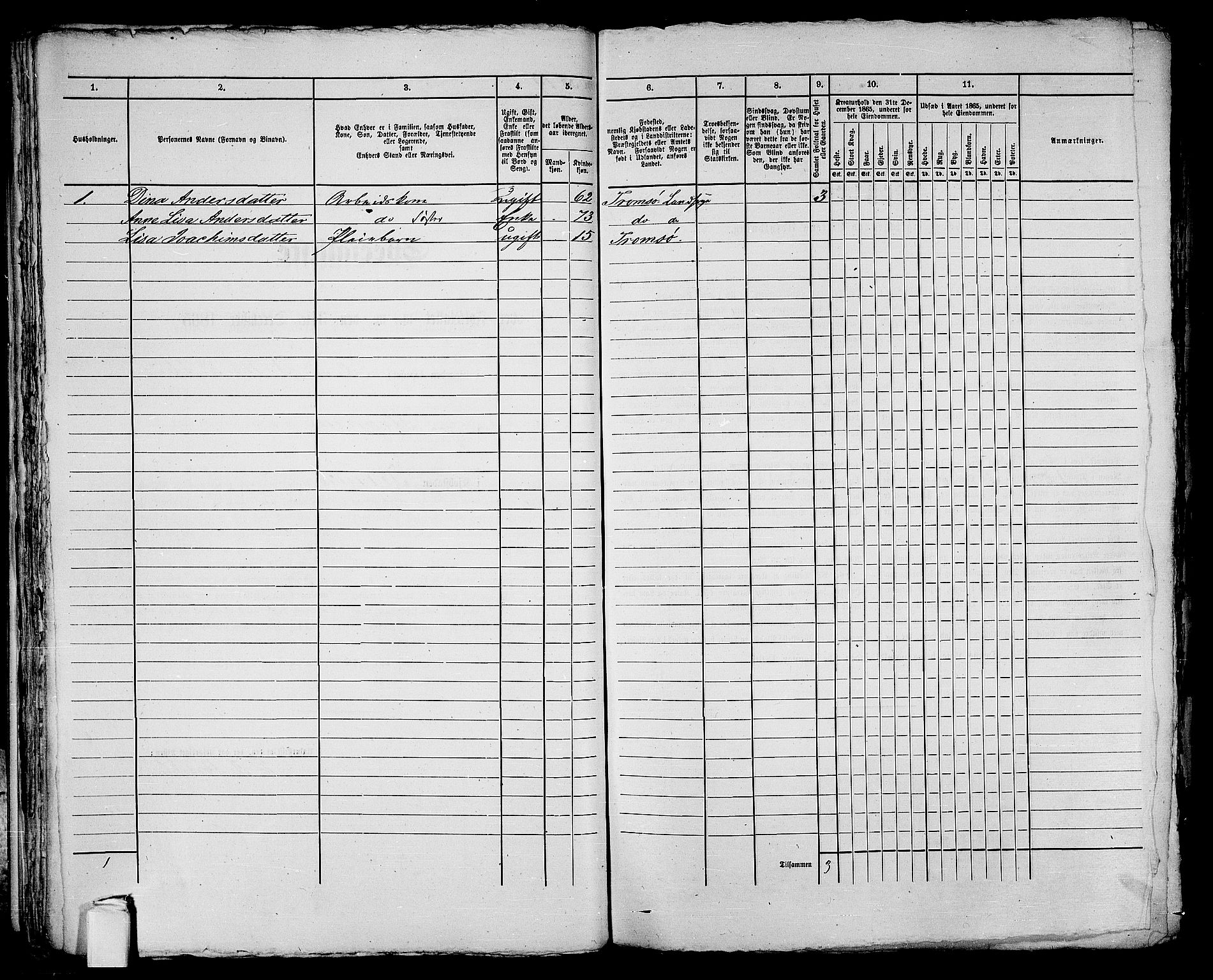 RA, Folketelling 1865 for 1902P Tromsø prestegjeld, 1865, s. 47