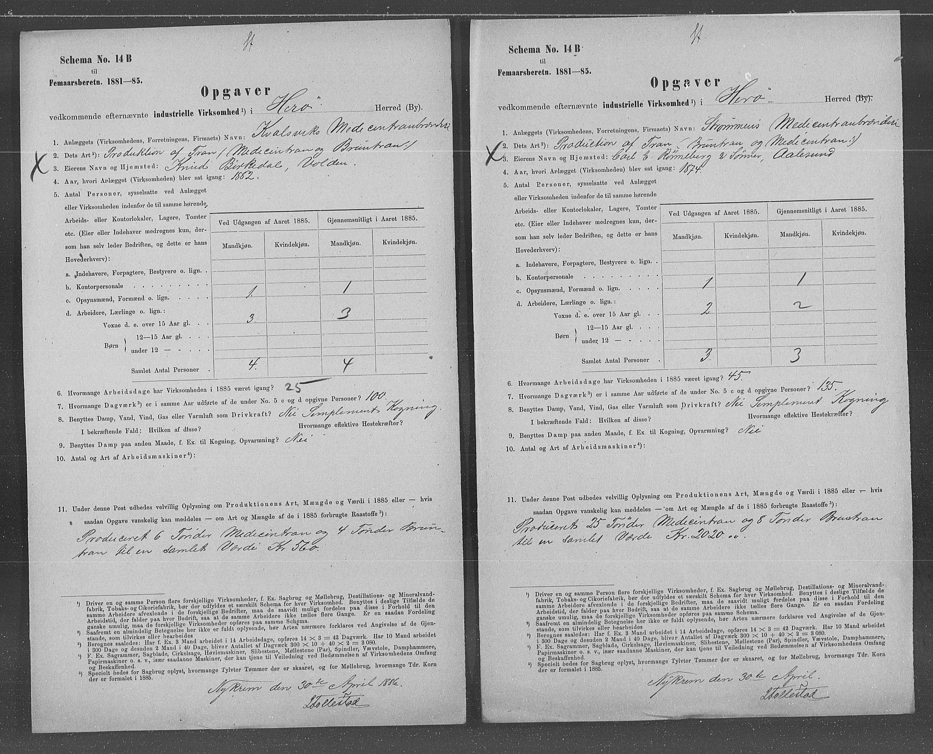 Statistisk sentralbyrå, Næringsøkonomiske emner, Generelt - Amtmennenes femårsberetninger, AV/RA-S-2233/F/Fa/L0066: --, 1885, s. 4