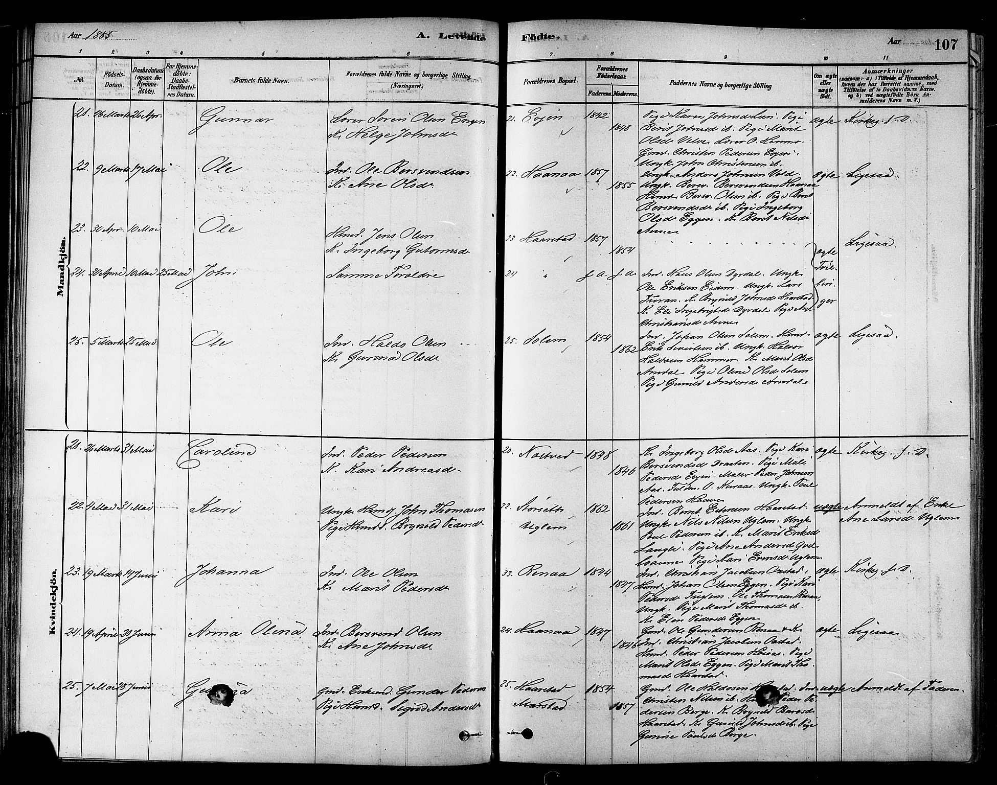 Ministerialprotokoller, klokkerbøker og fødselsregistre - Sør-Trøndelag, AV/SAT-A-1456/695/L1148: Ministerialbok nr. 695A08, 1878-1891, s. 107