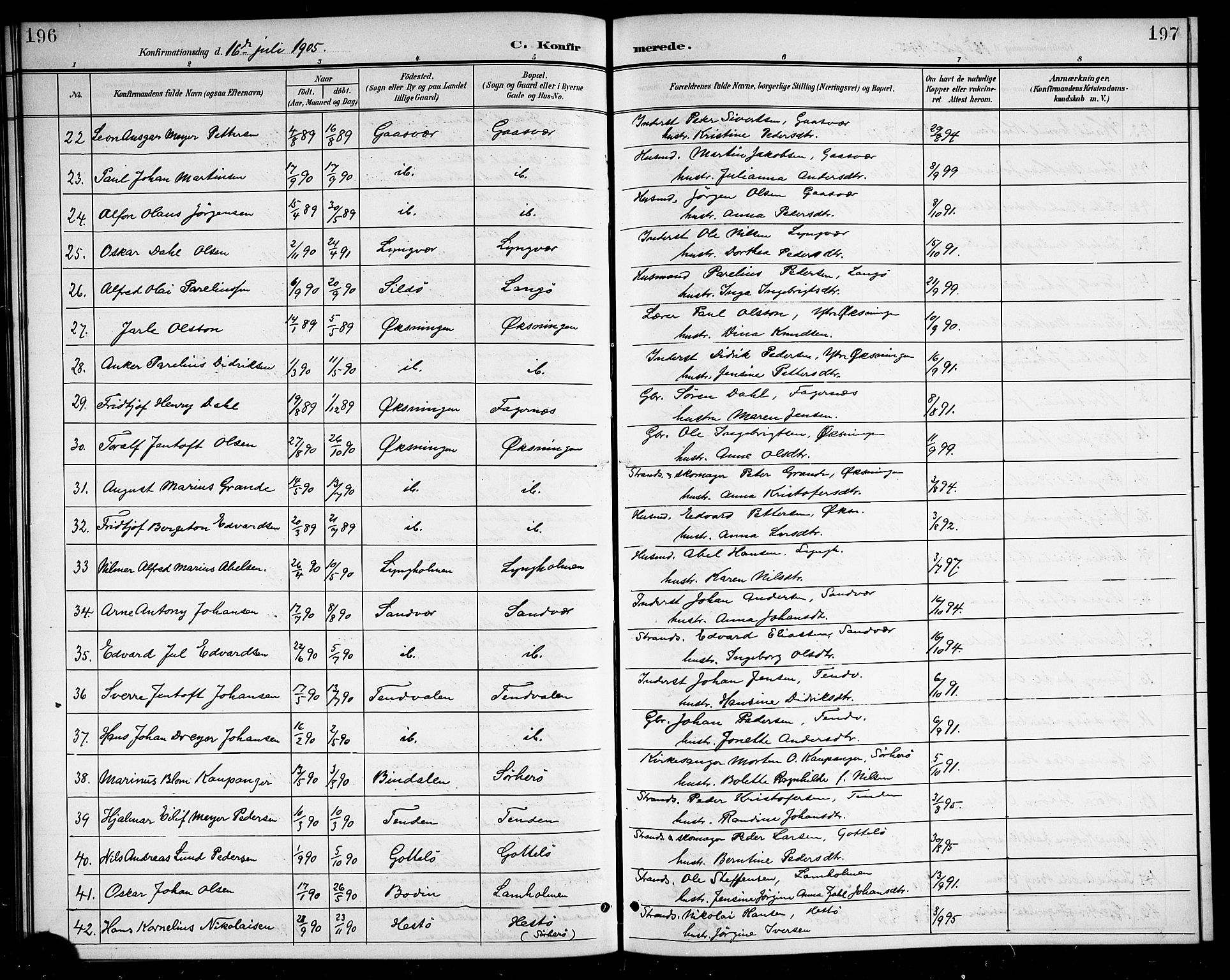 Ministerialprotokoller, klokkerbøker og fødselsregistre - Nordland, AV/SAT-A-1459/834/L0516: Klokkerbok nr. 834C06, 1902-1918, s. 196-197