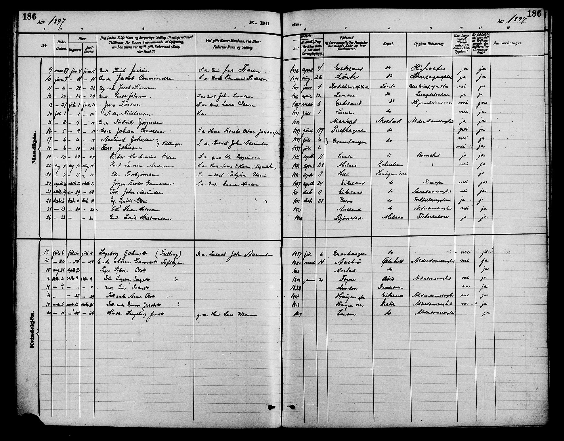 Gjerstad sokneprestkontor, SAK/1111-0014/F/Fb/Fba/L0007: Klokkerbok nr. B 7, 1891-1908, s. 186