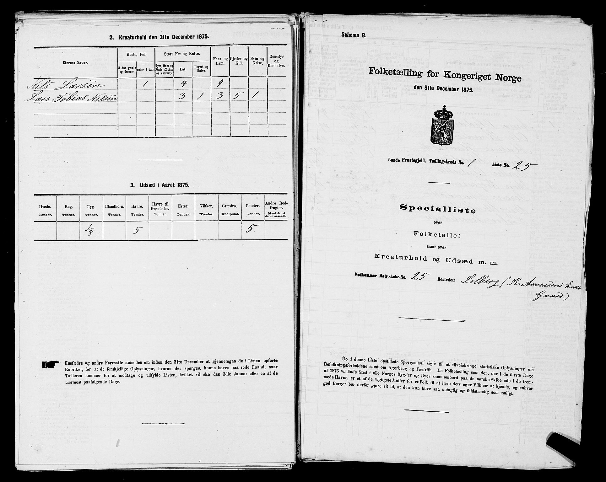 SAST, Folketelling 1875 for 1112P Lund prestegjeld, 1875, s. 99