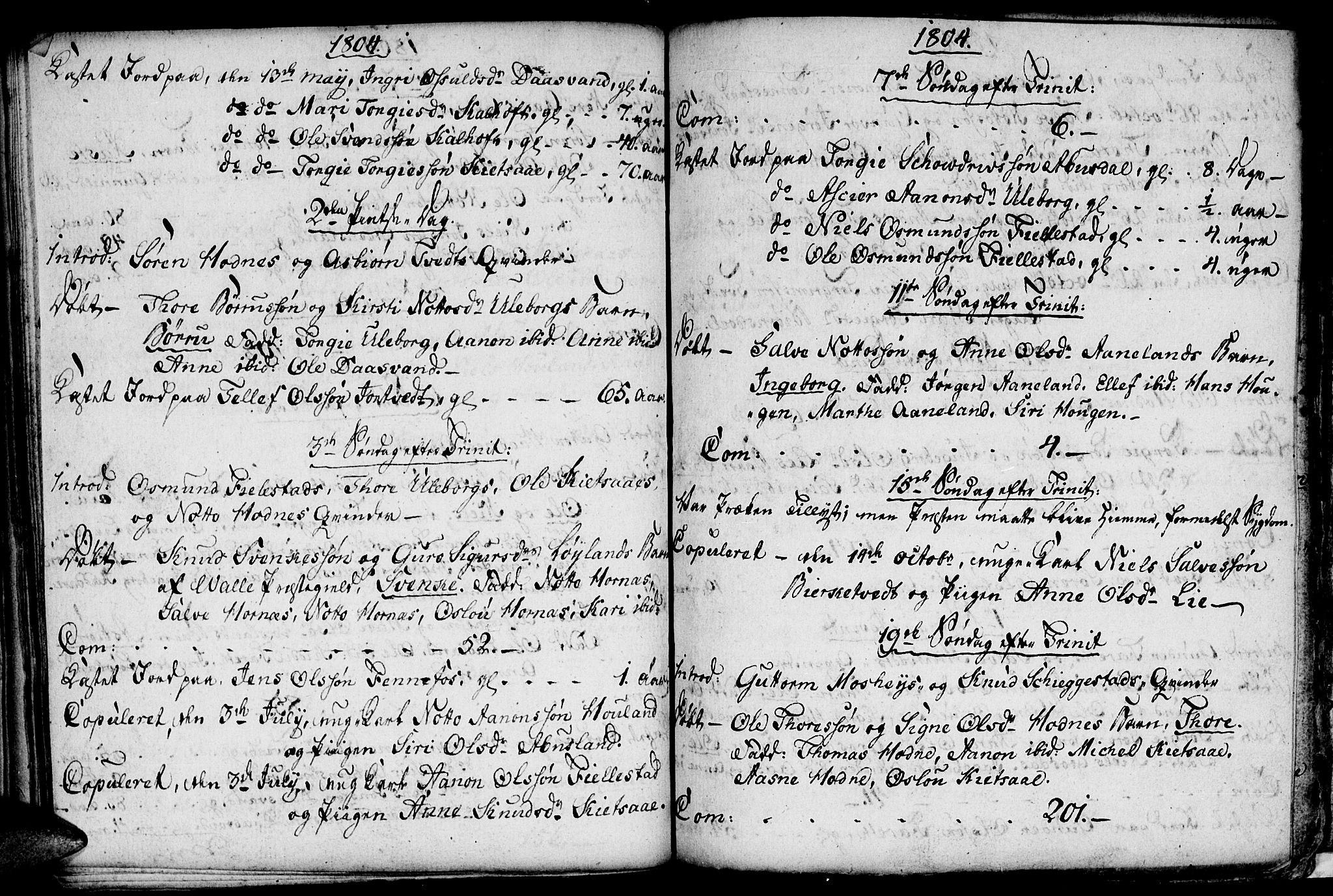 Evje sokneprestkontor, SAK/1111-0008/F/Fa/Fab/L0002: Ministerialbok nr. A 2, 1765-1816, s. 105