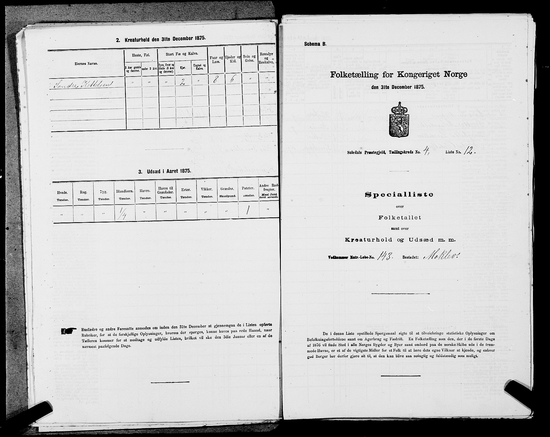 SAST, Folketelling 1875 for 1134P Suldal prestegjeld, 1875, s. 523