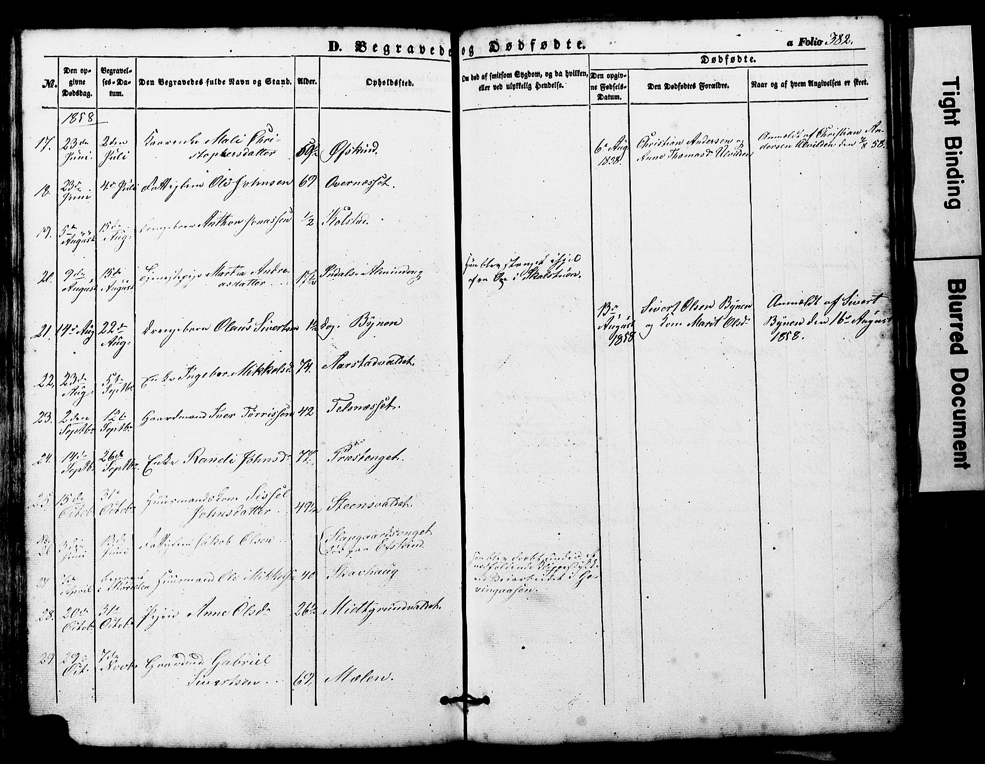 Ministerialprotokoller, klokkerbøker og fødselsregistre - Nord-Trøndelag, AV/SAT-A-1458/724/L0268: Klokkerbok nr. 724C04, 1846-1878, s. 382