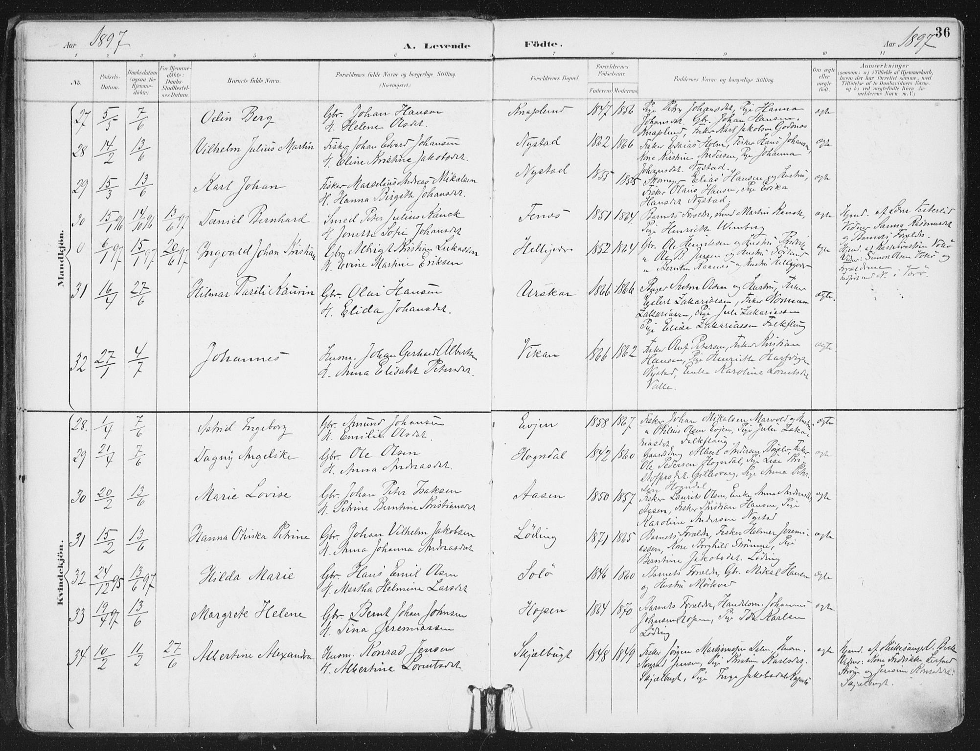 Ministerialprotokoller, klokkerbøker og fødselsregistre - Nordland, AV/SAT-A-1459/802/L0055: Ministerialbok nr. 802A02, 1894-1915, s. 36