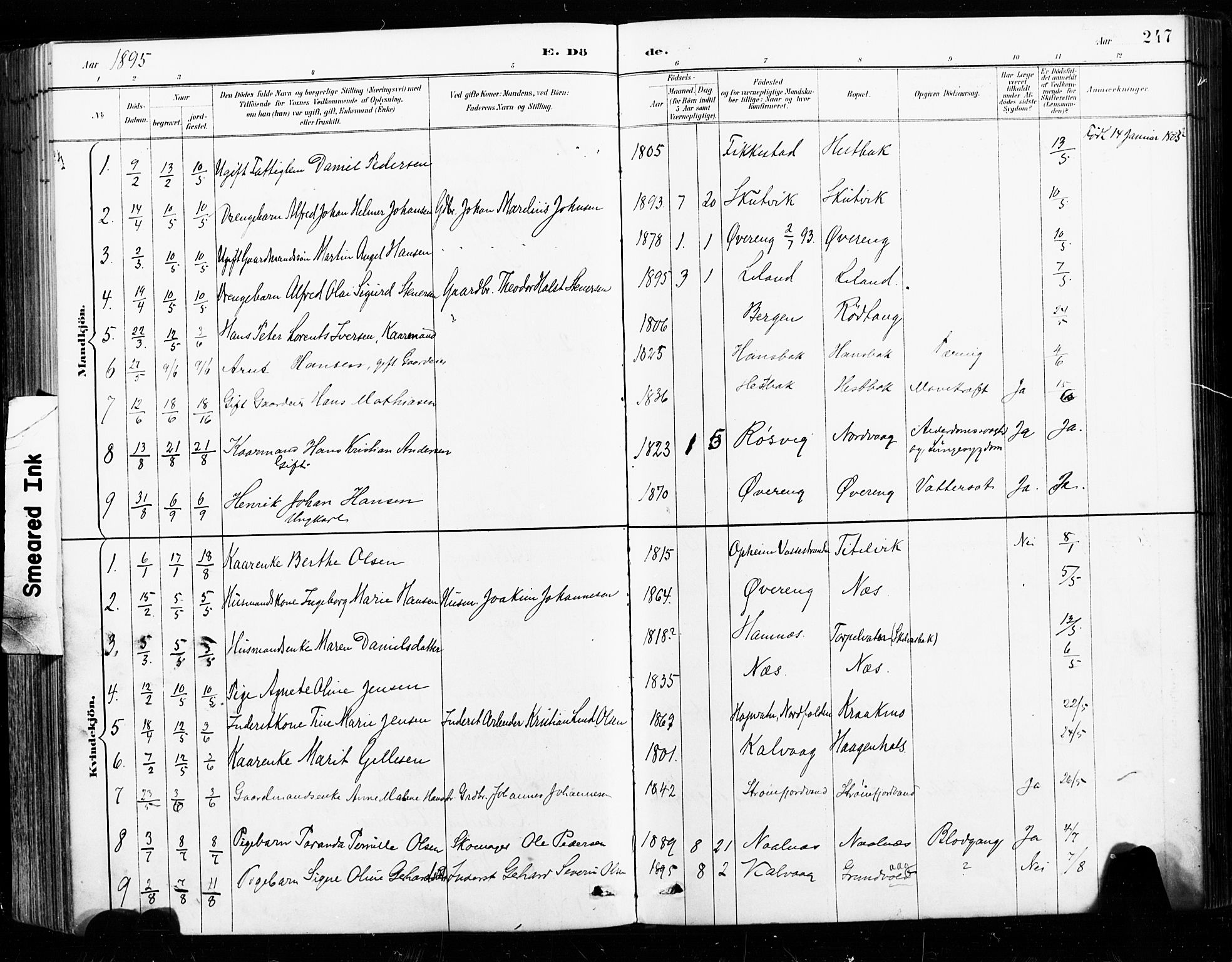 Ministerialprotokoller, klokkerbøker og fødselsregistre - Nordland, AV/SAT-A-1459/859/L0847: Ministerialbok nr. 859A07, 1890-1899, s. 247