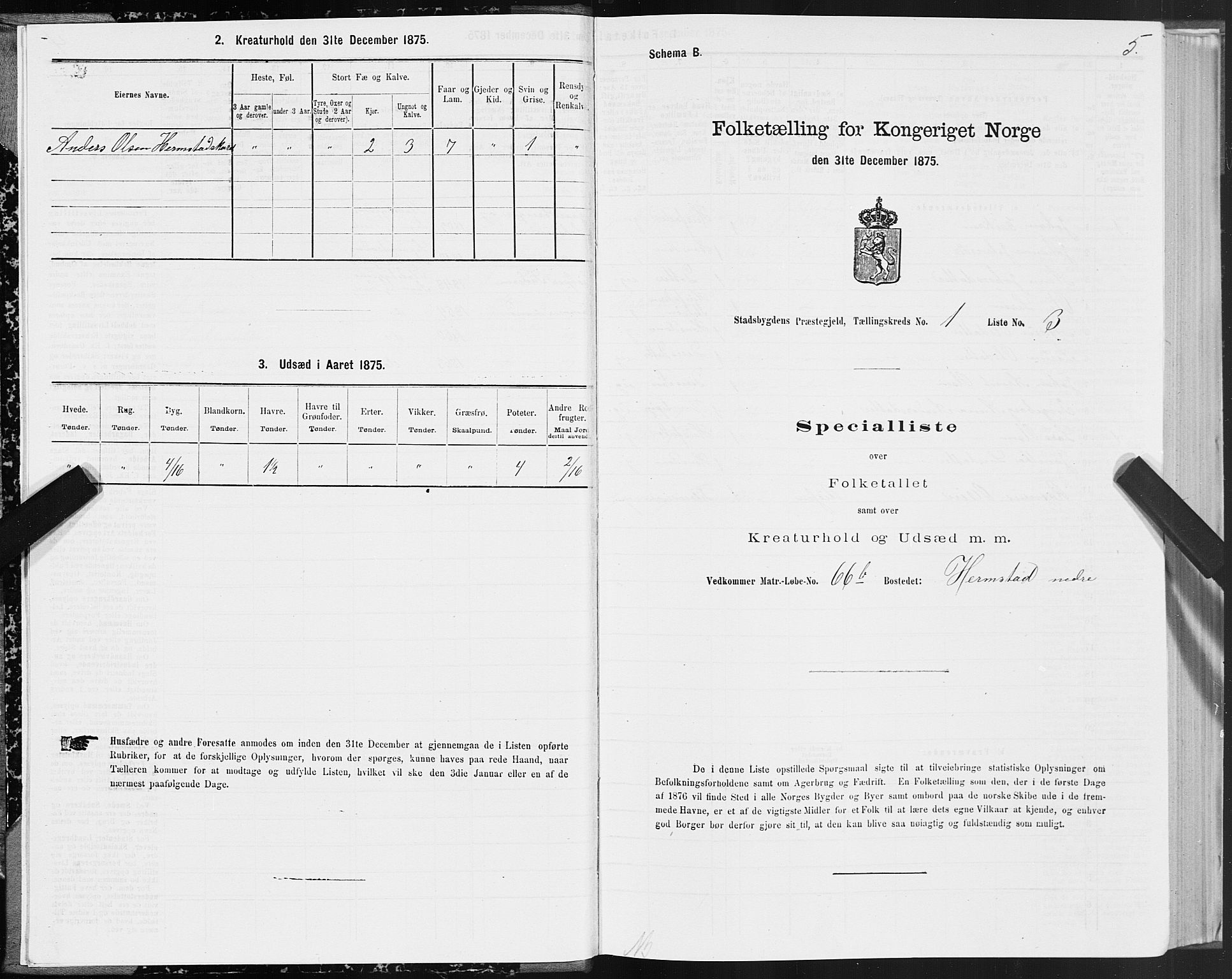 SAT, Folketelling 1875 for 1625P Stadsbygd prestegjeld, 1875, s. 1005