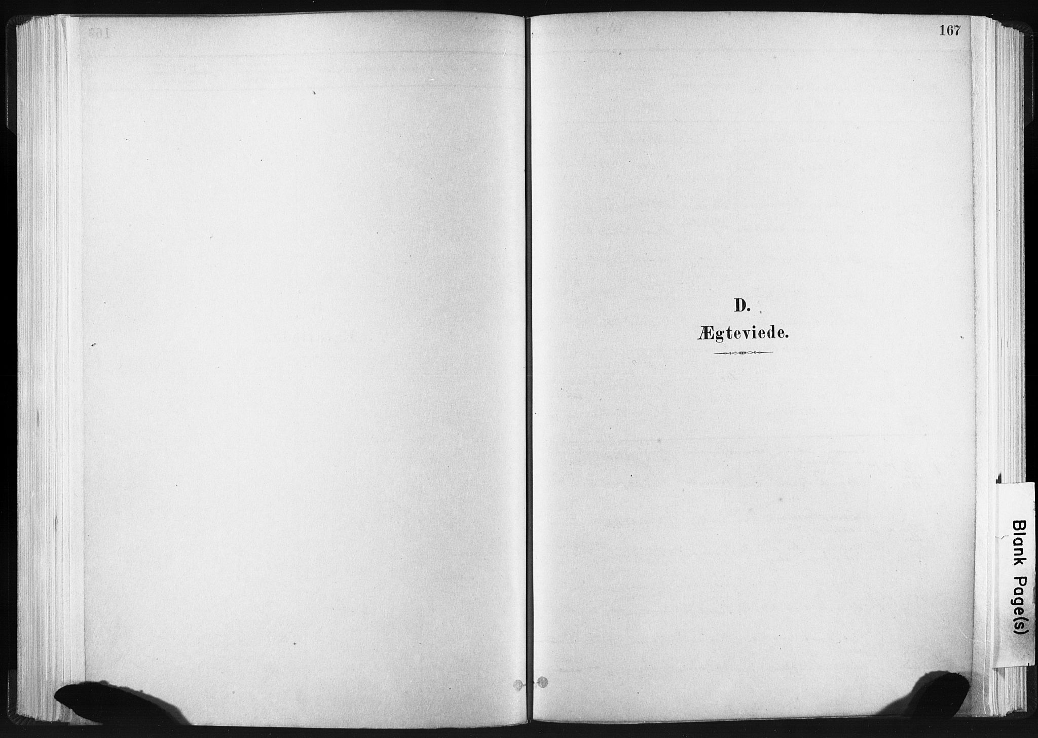 Ministerialprotokoller, klokkerbøker og fødselsregistre - Sør-Trøndelag, AV/SAT-A-1456/665/L0773: Ministerialbok nr. 665A08, 1879-1905, s. 167