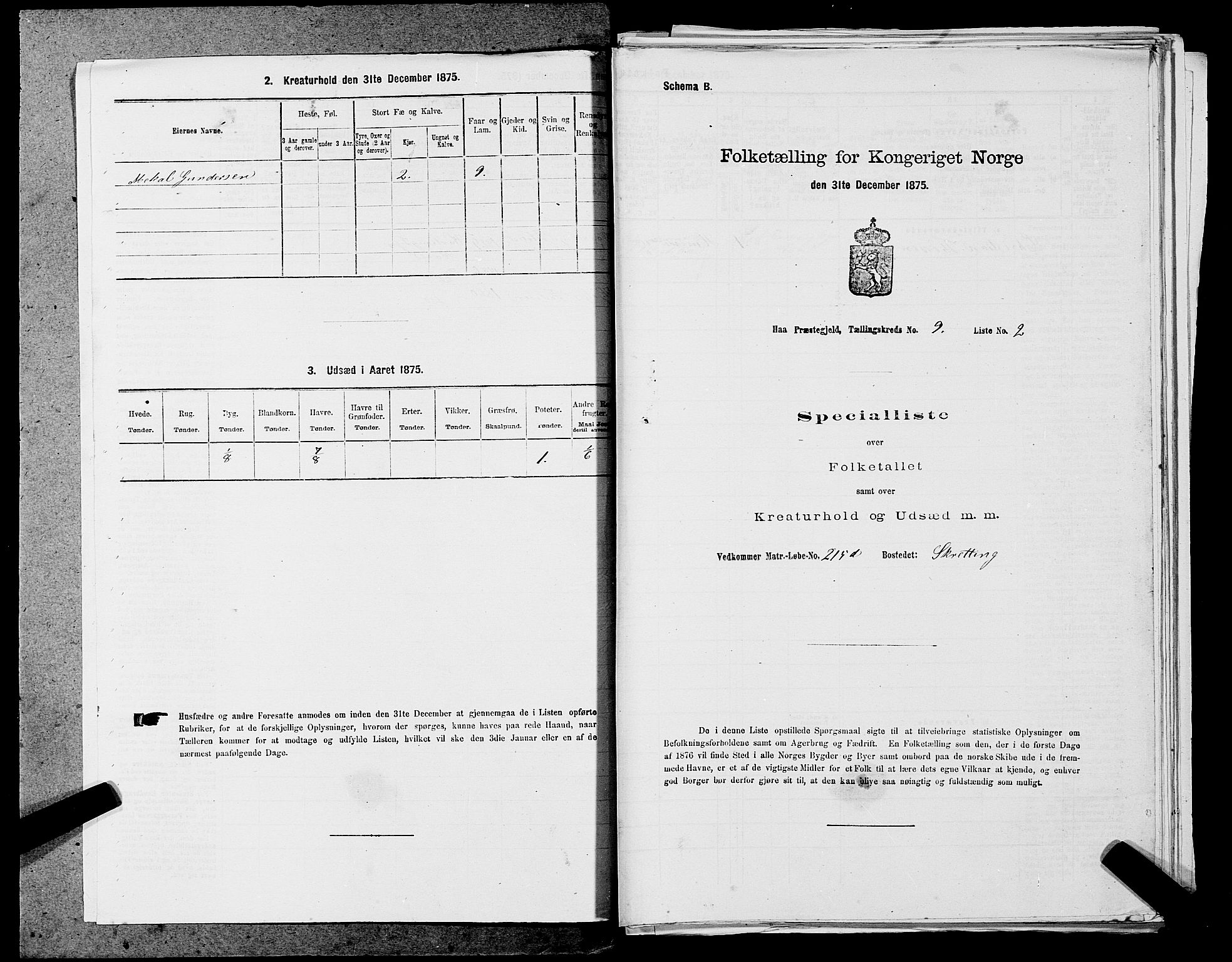 SAST, Folketelling 1875 for 1119P Hå prestegjeld, 1875, s. 958