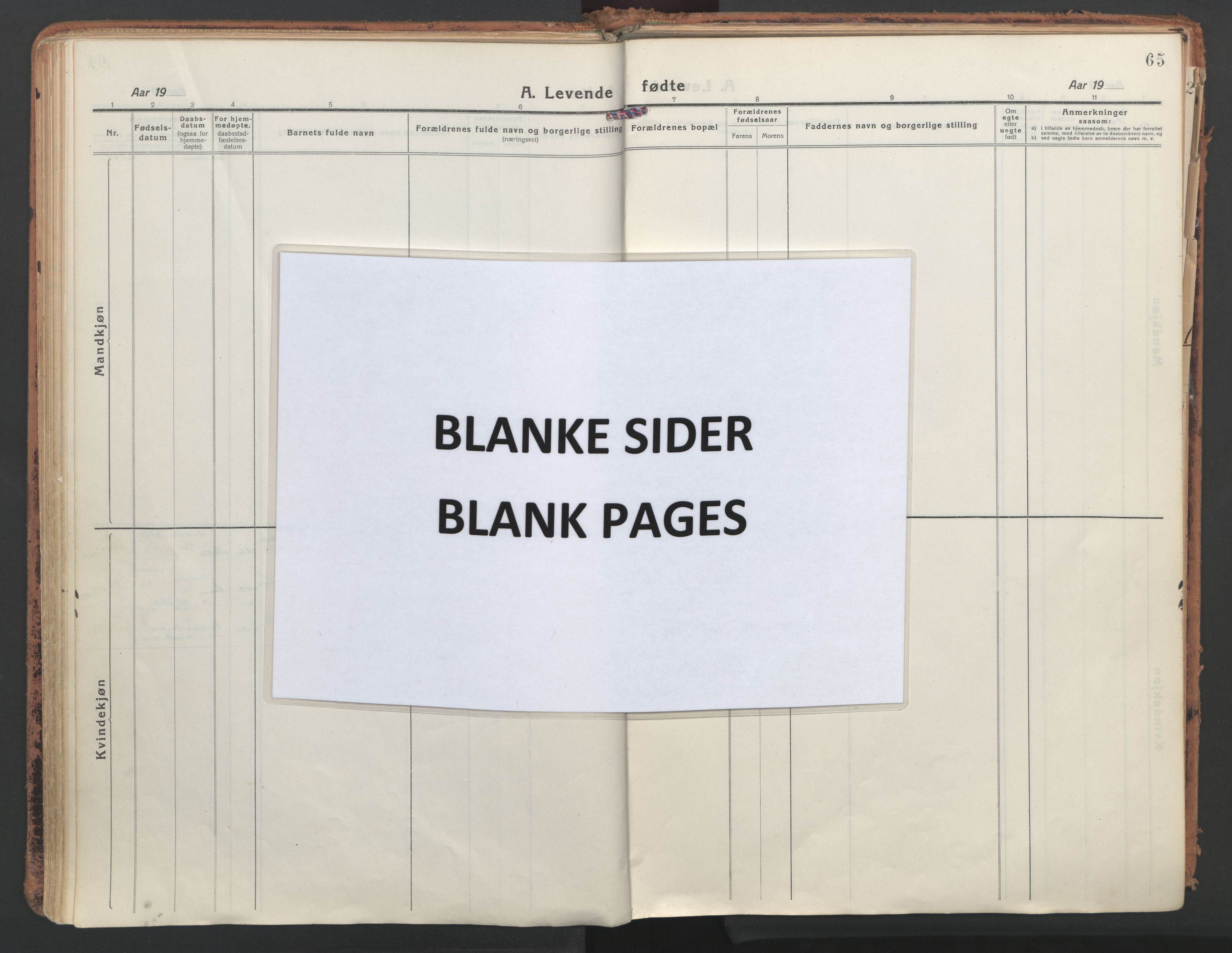 Ministerialprotokoller, klokkerbøker og fødselsregistre - Møre og Romsdal, AV/SAT-A-1454/513/L0180: Ministerialbok nr. 513A07, 1919-1929, s. 65