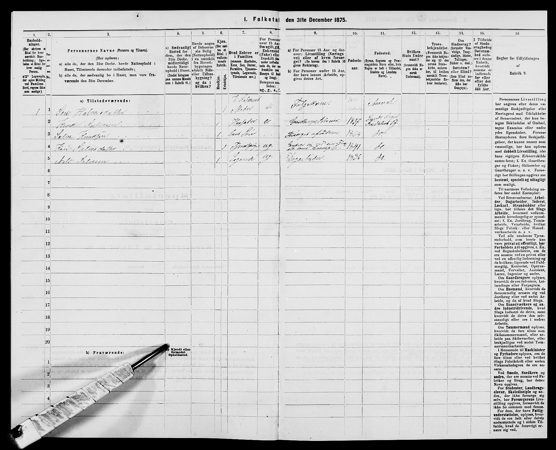 SAK, Folketelling 1875 for 1046P Sirdal prestegjeld, 1875, s. 410