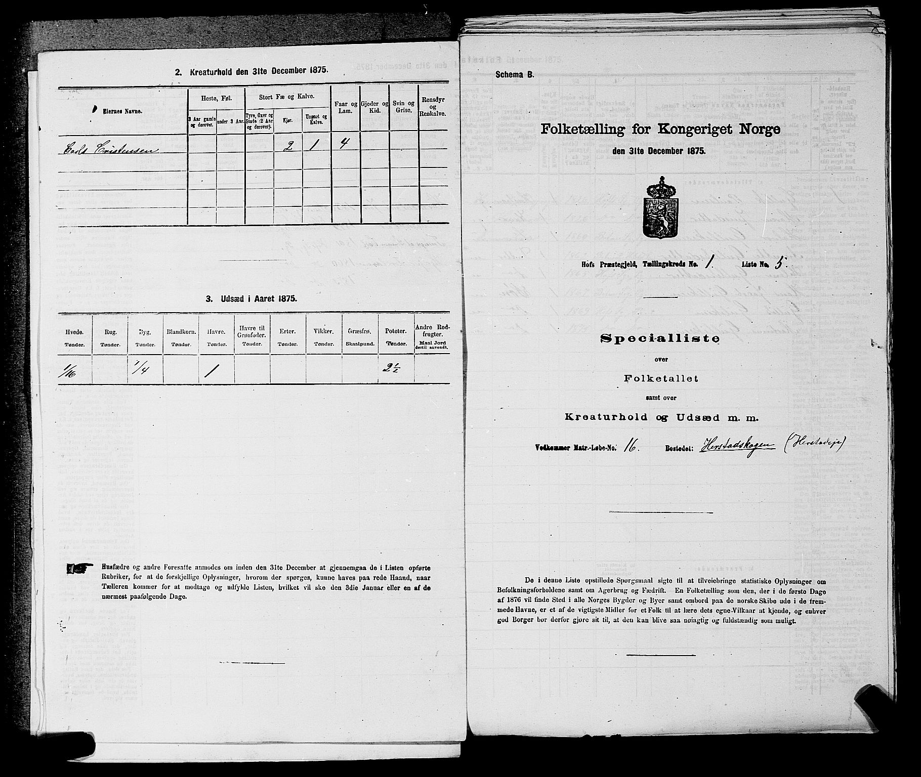 SAKO, Folketelling 1875 for 0714P Hof prestegjeld, 1875, s. 43