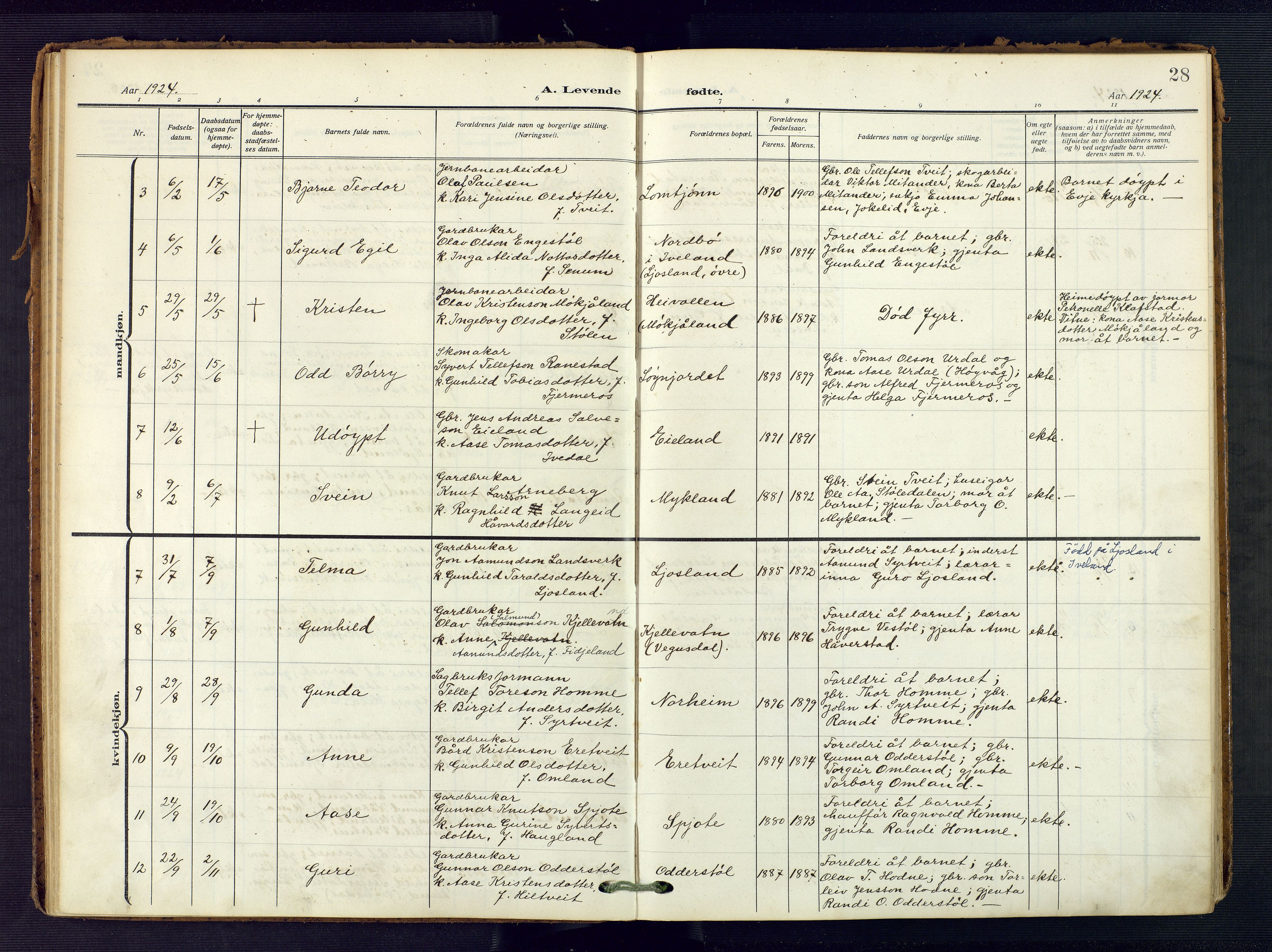 Evje sokneprestkontor, AV/SAK-1111-0008/F/Fa/Fac/L0004: Ministerialbok nr. A 4, 1910-1932, s. 28