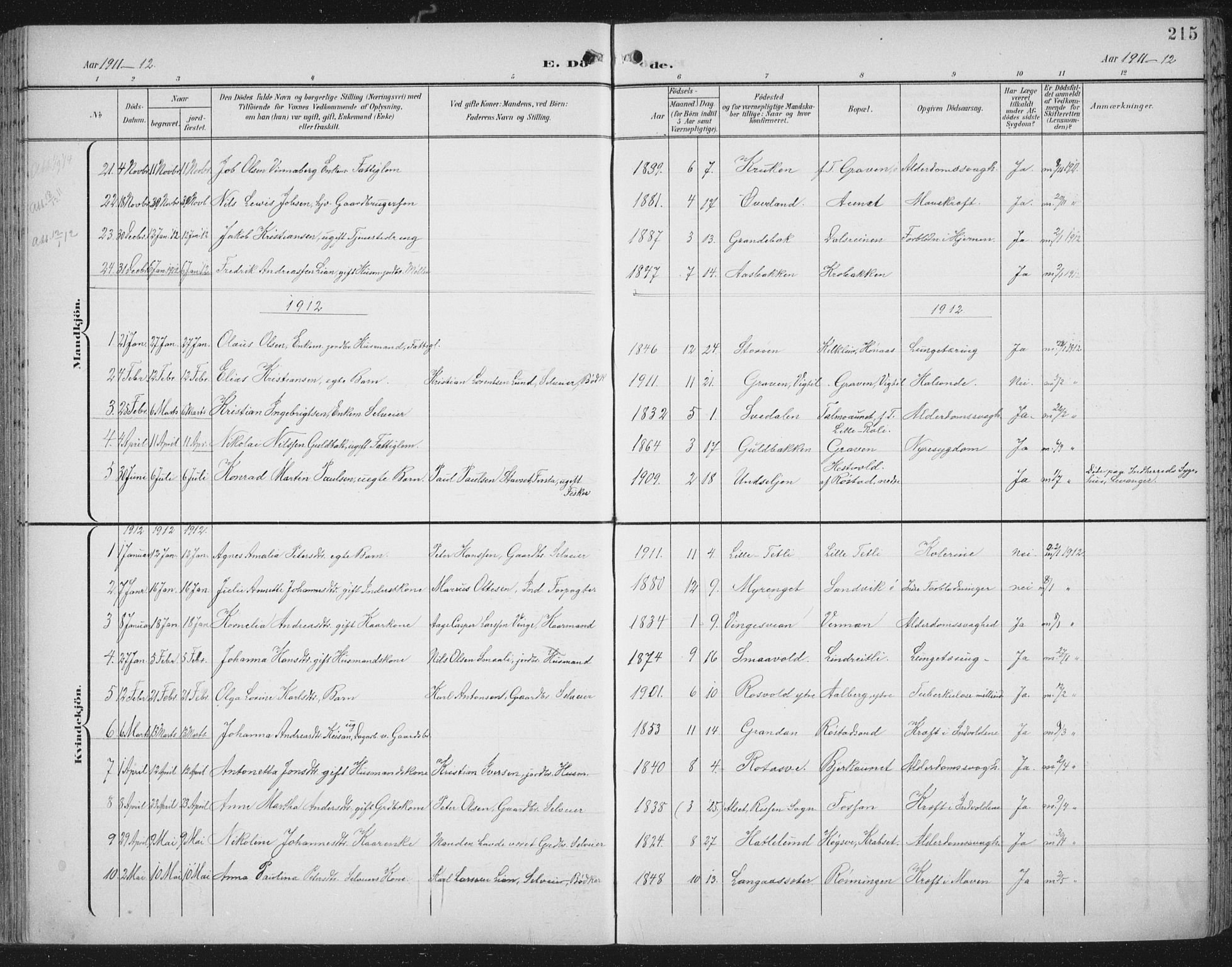 Ministerialprotokoller, klokkerbøker og fødselsregistre - Nord-Trøndelag, AV/SAT-A-1458/701/L0011: Ministerialbok nr. 701A11, 1899-1915, s. 215