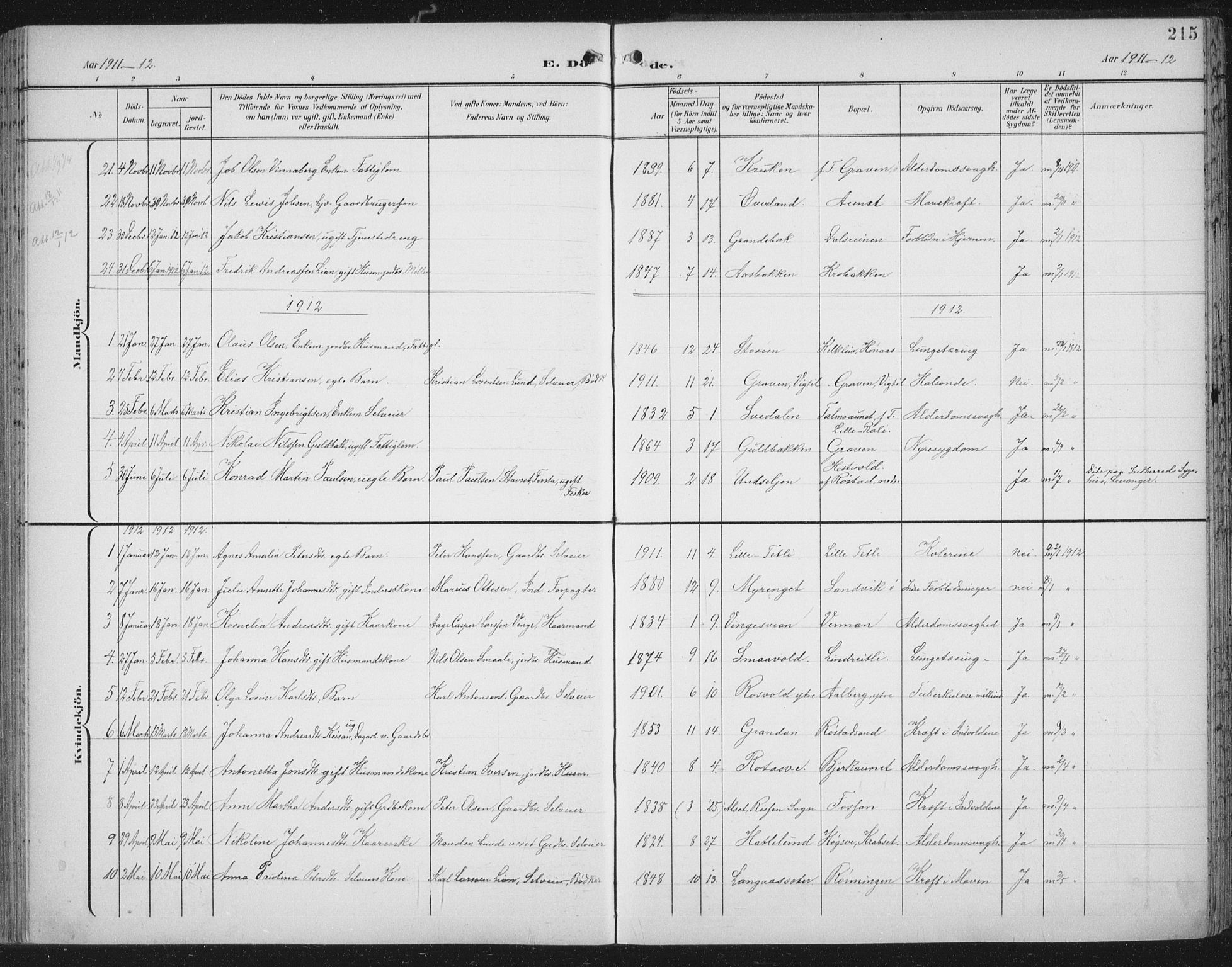 Ministerialprotokoller, klokkerbøker og fødselsregistre - Nord-Trøndelag, SAT/A-1458/701/L0011: Ministerialbok nr. 701A11, 1899-1915, s. 215