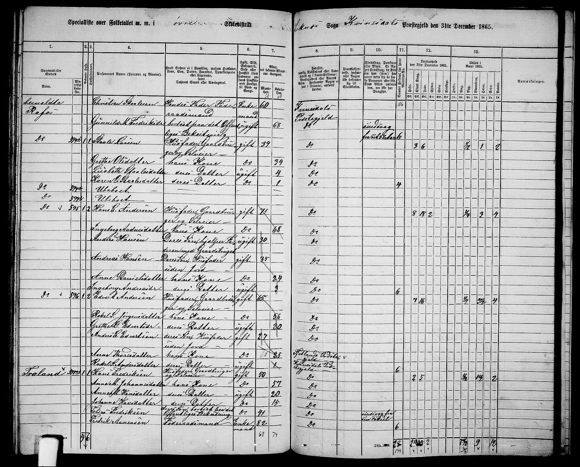 RA, Folketelling 1865 for 1037P Kvinesdal prestegjeld, 1865, s. 164