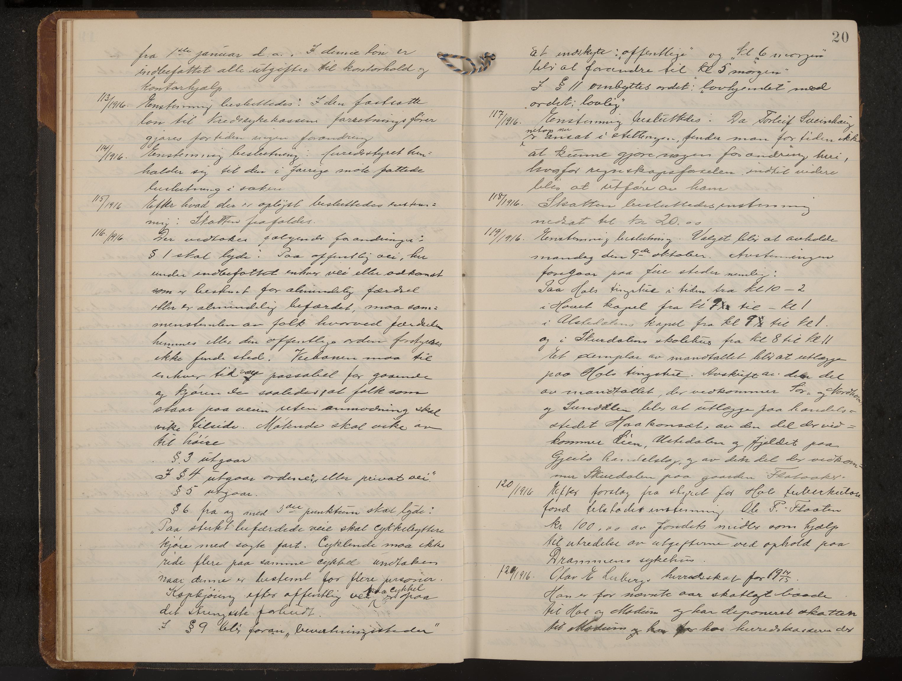 Hol formannskap og sentraladministrasjon, IKAK/0620021-1/A/L0006: Møtebok, 1916-1922, s. 20