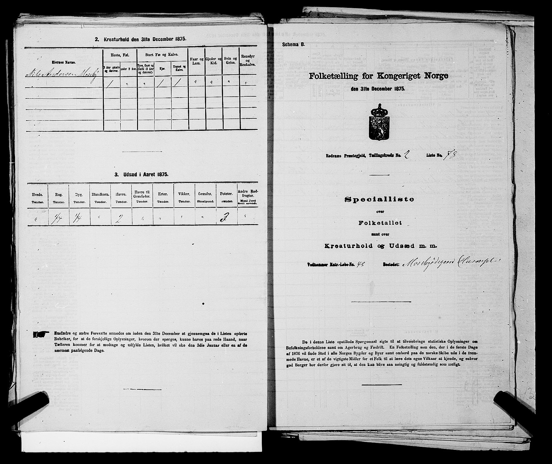 RA, Folketelling 1875 for 0120P Rødenes prestegjeld, 1875, s. 348
